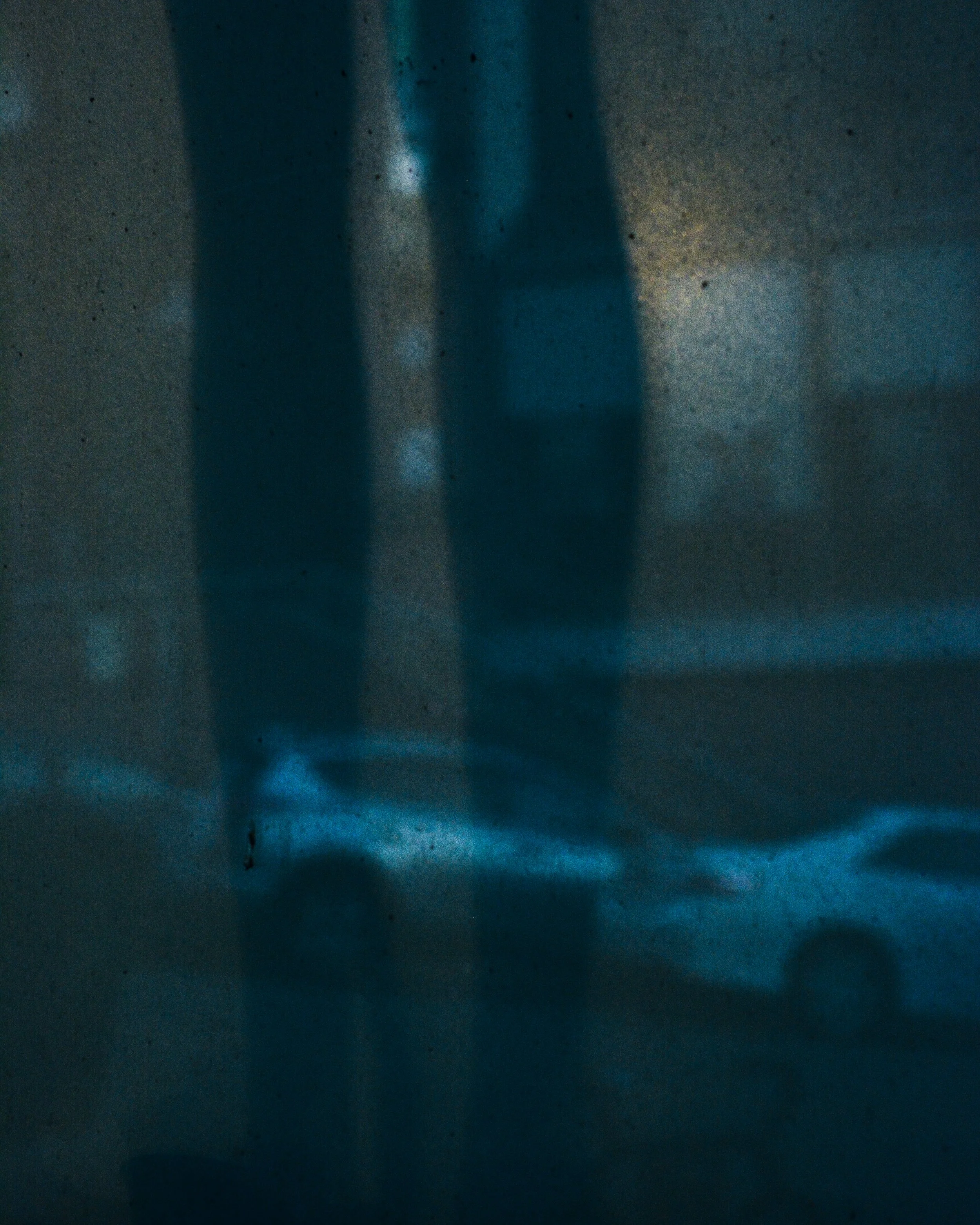 DSC_1803.jpg
