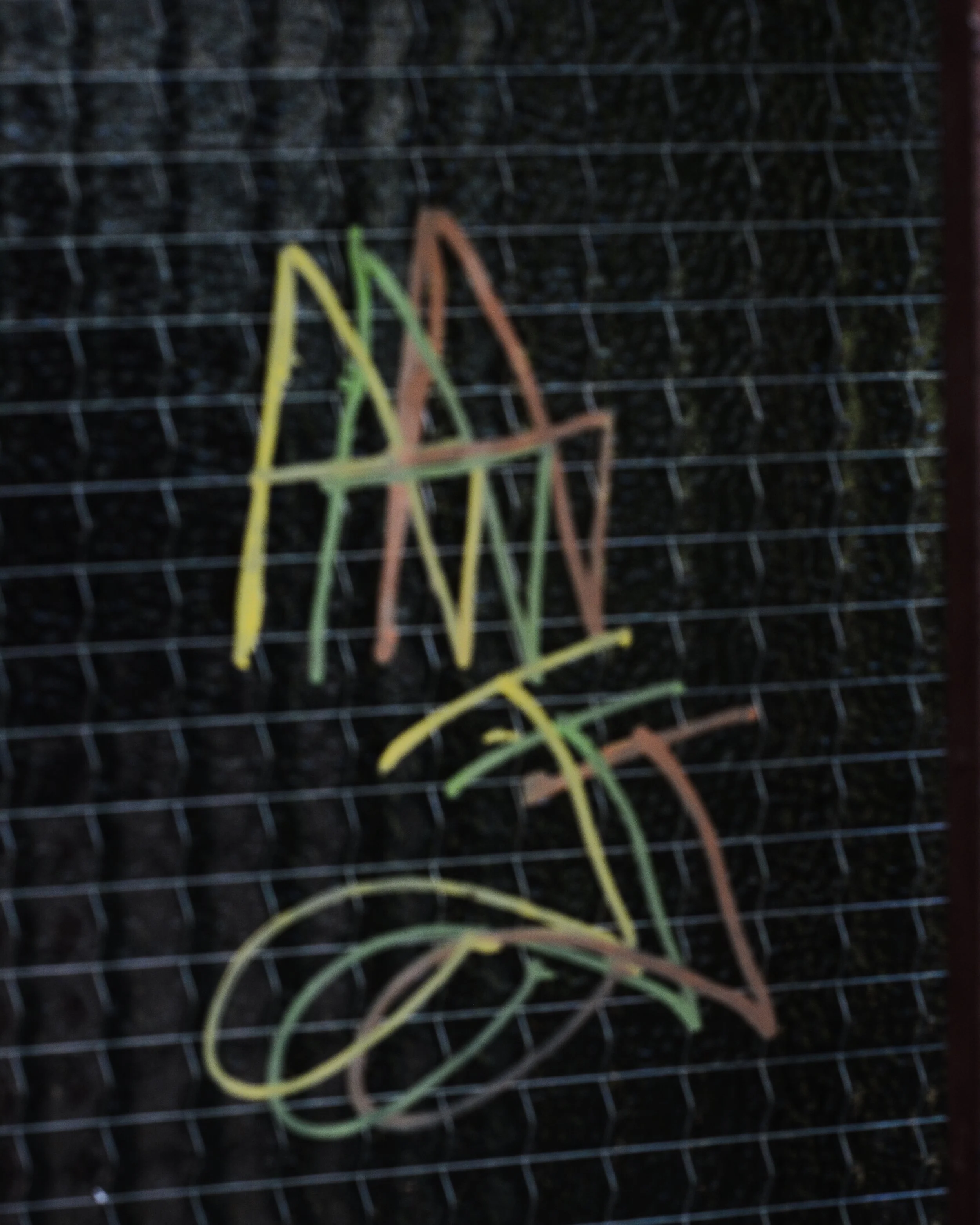 DSC_1426.jpg