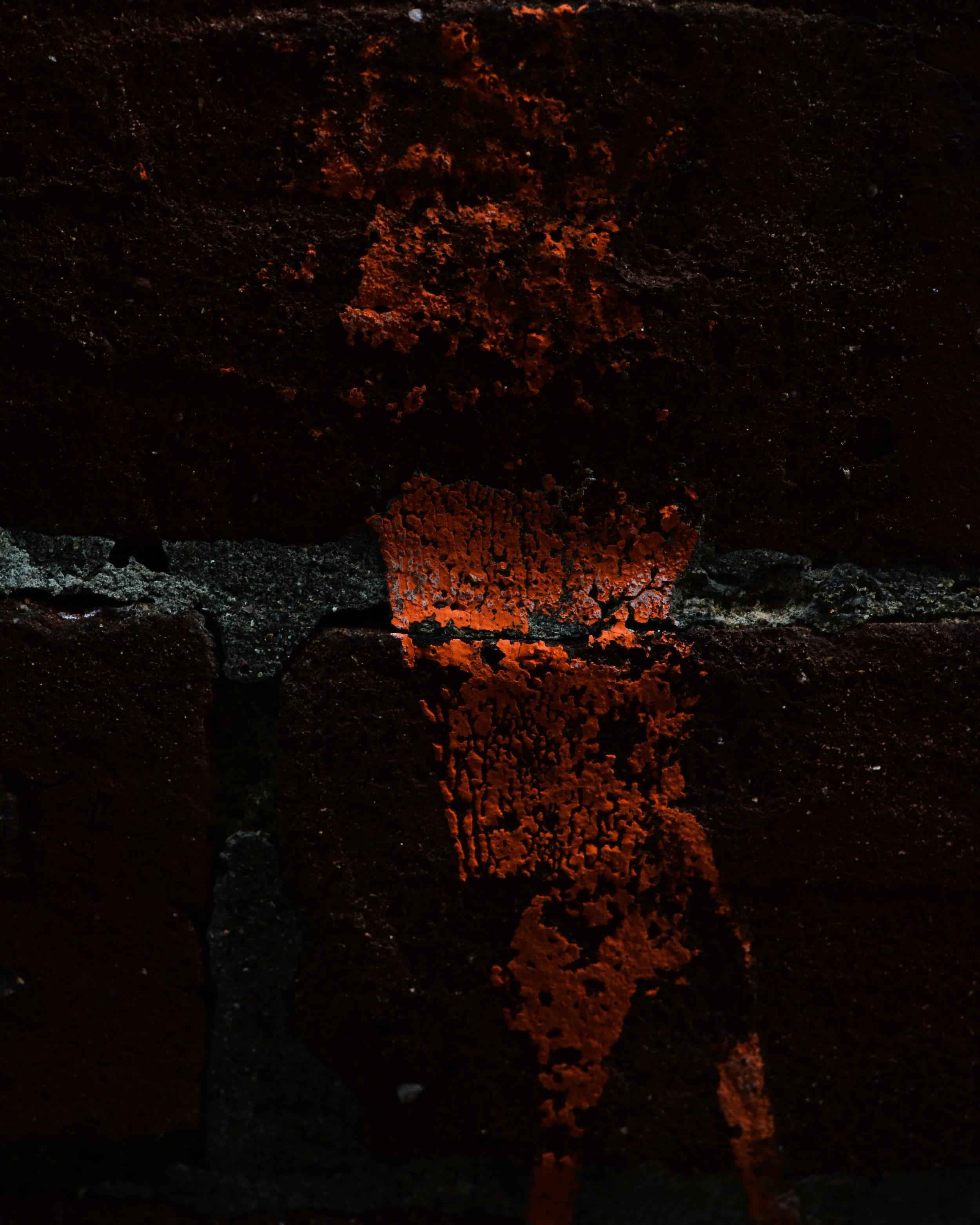 DSC_1324.jpg