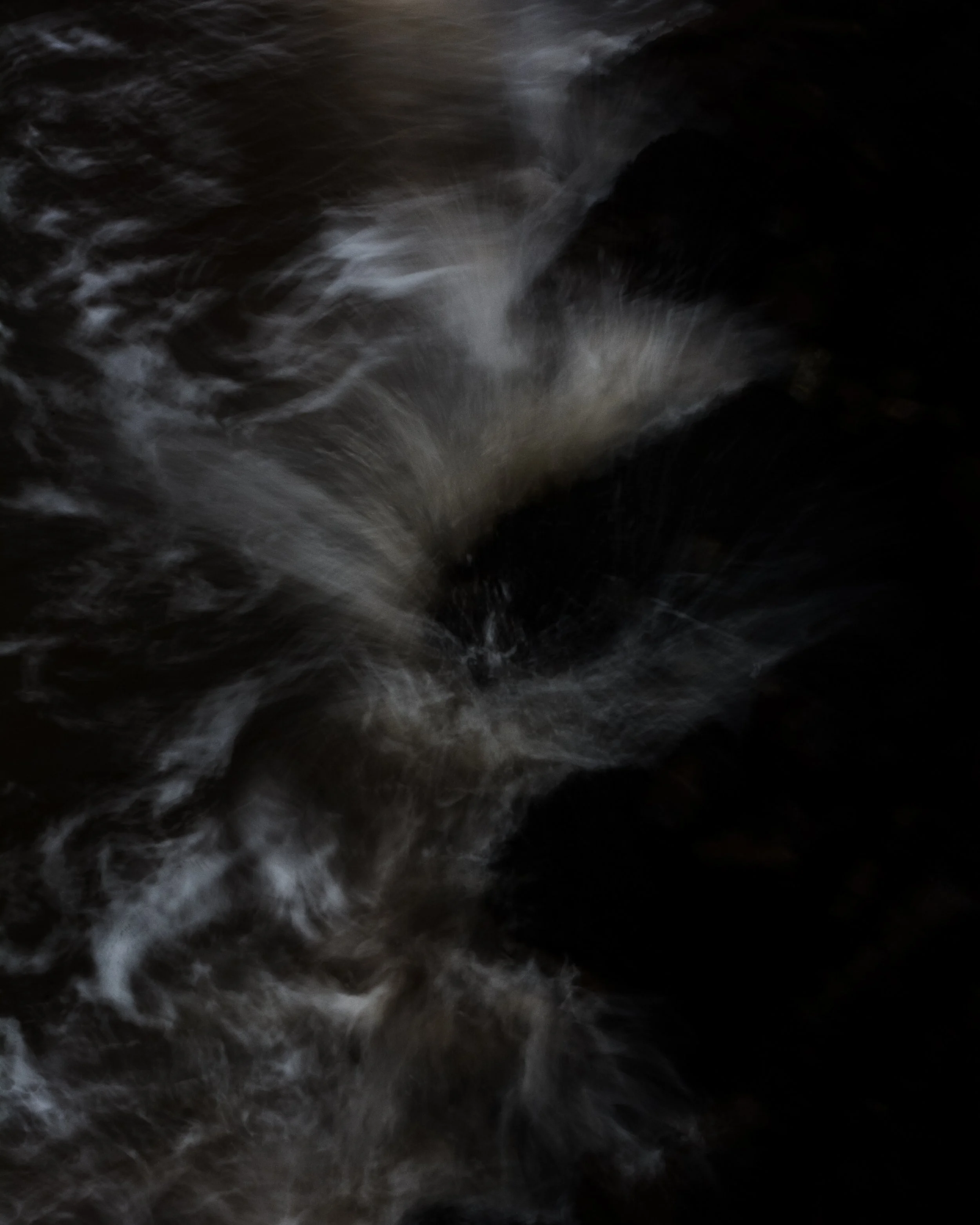 DSC_1668.jpg