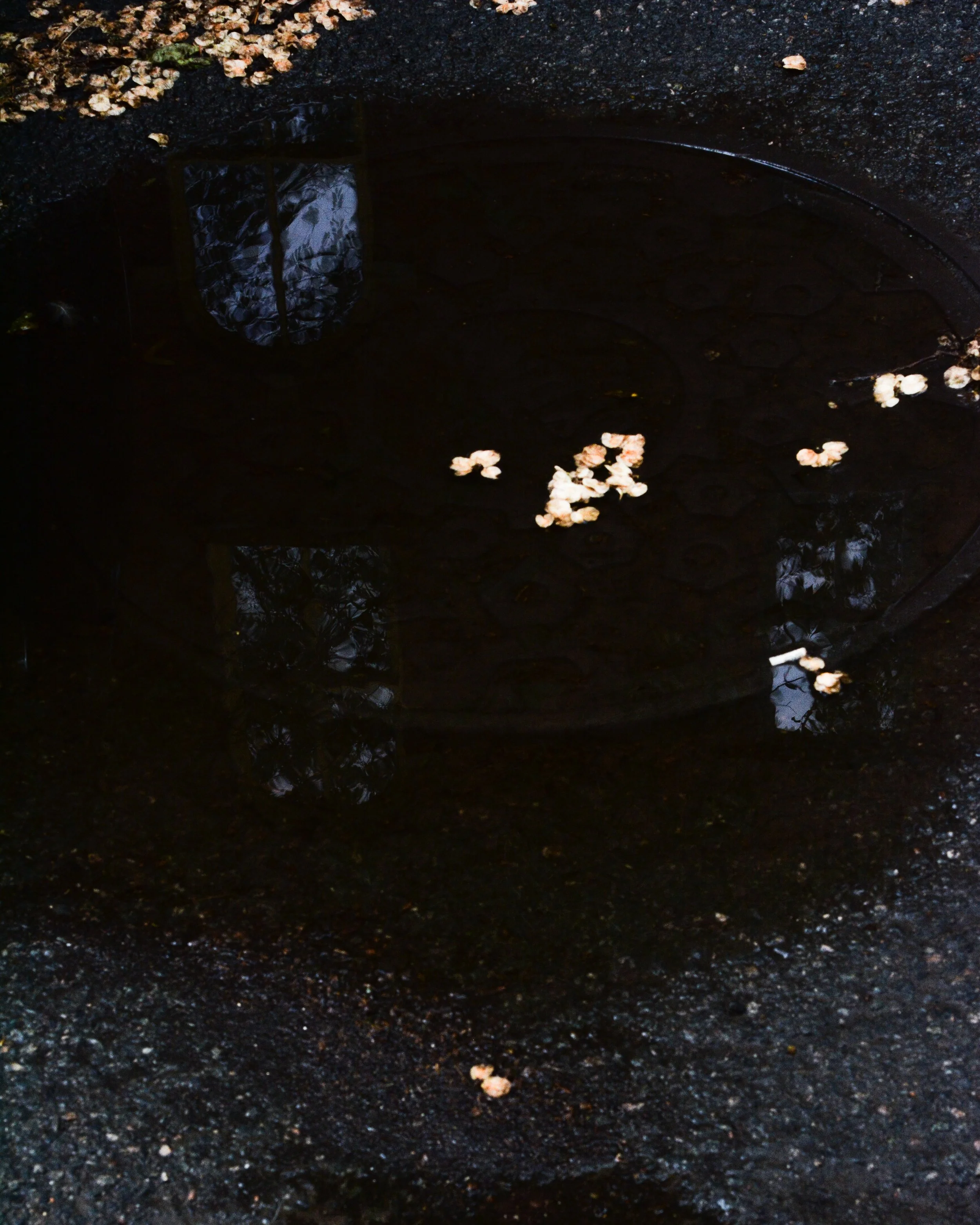 DSC_1091.jpg