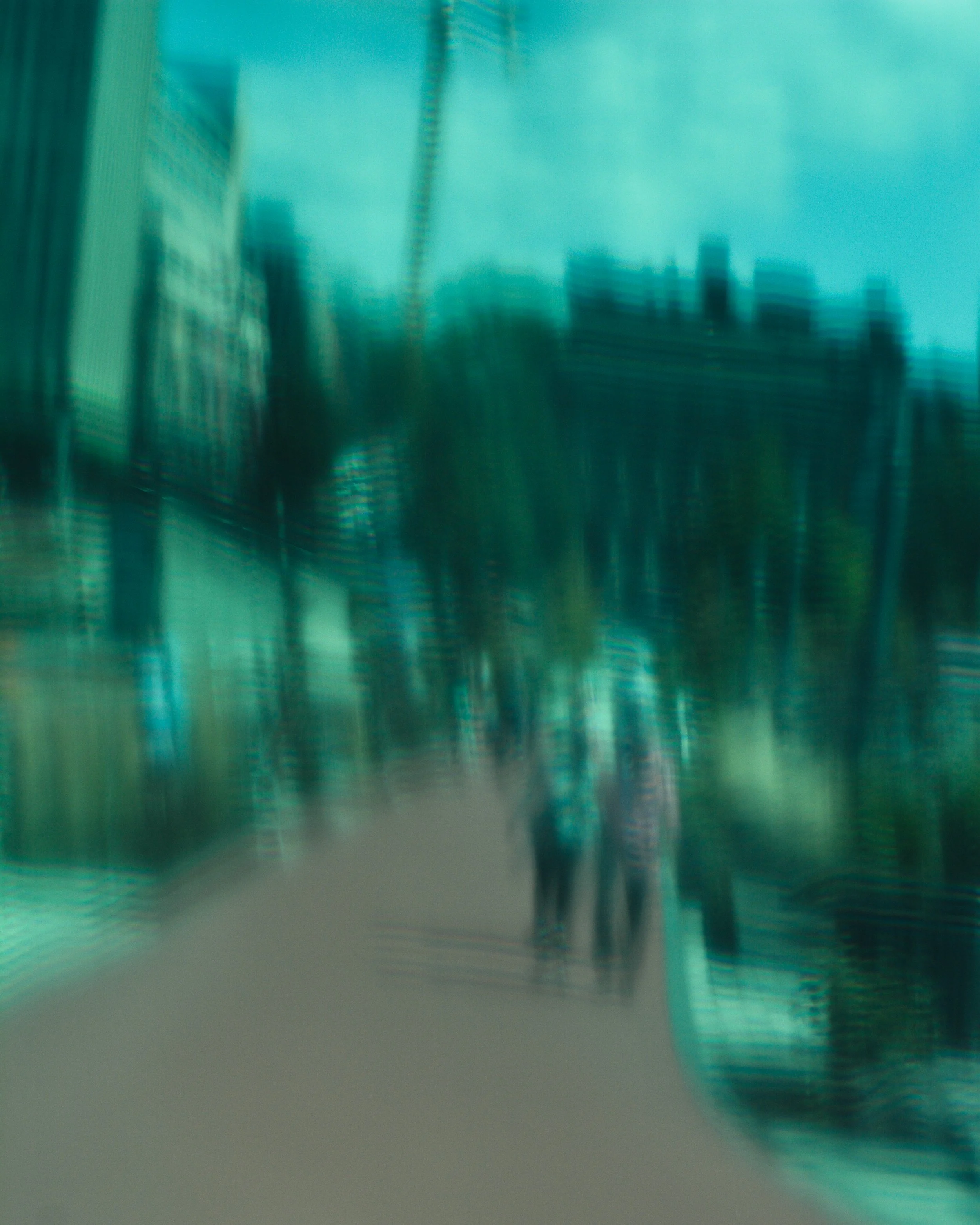 DSC_1312.jpg