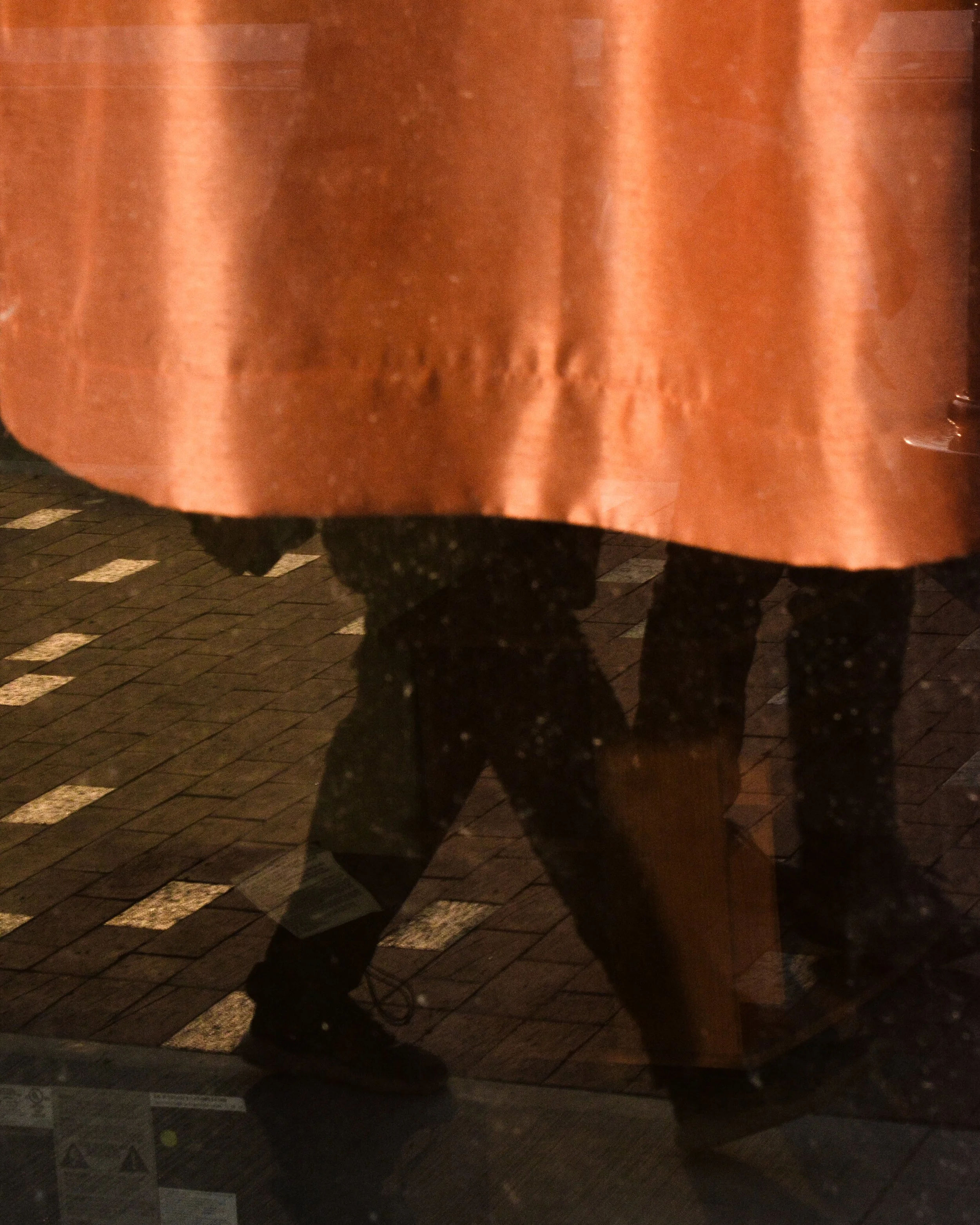 DSC_1134.jpg