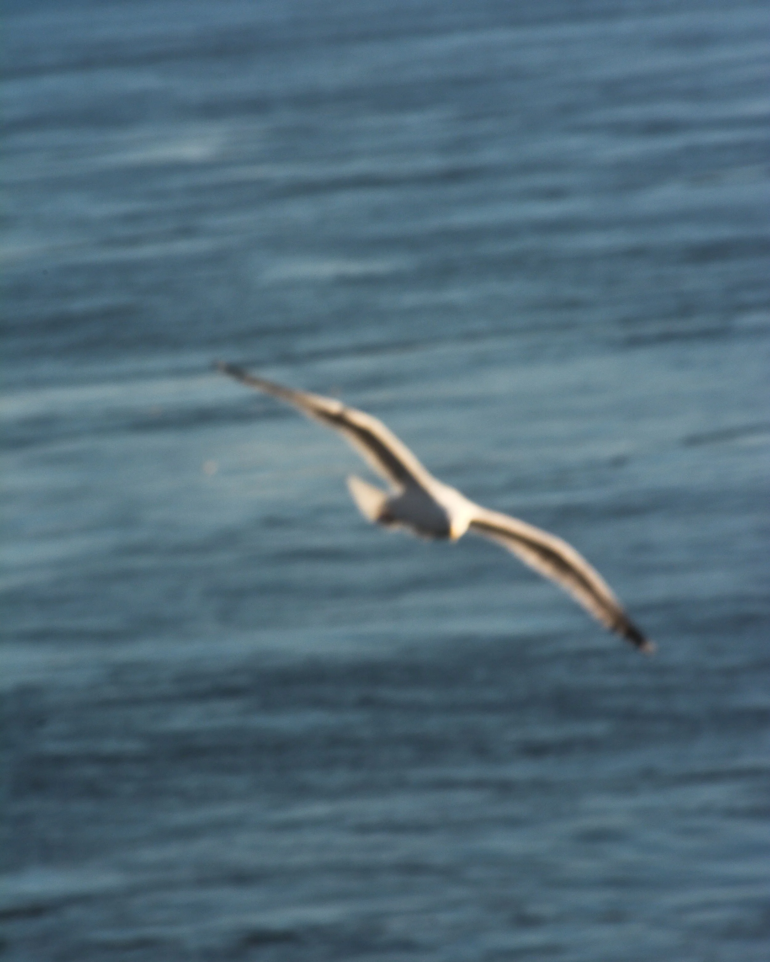 DSC_1047-2.jpg