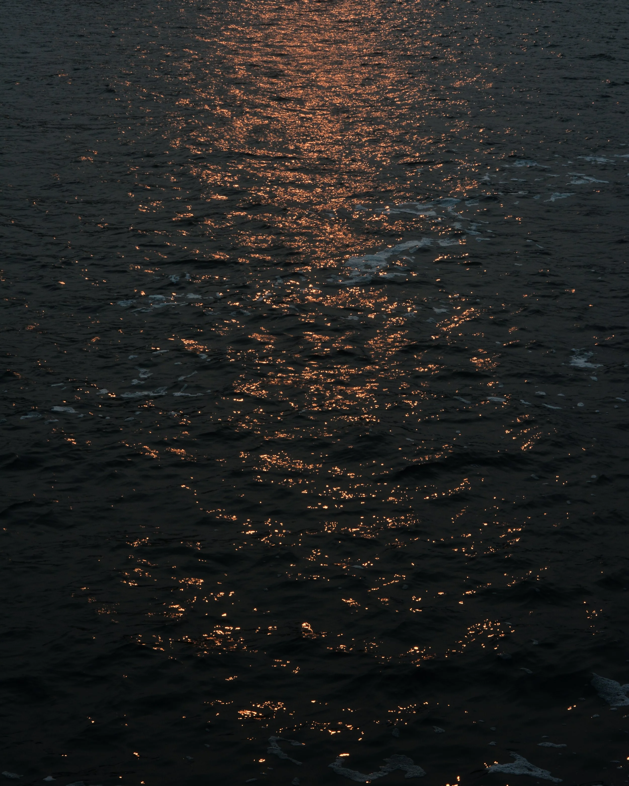 DSC_1167.jpg