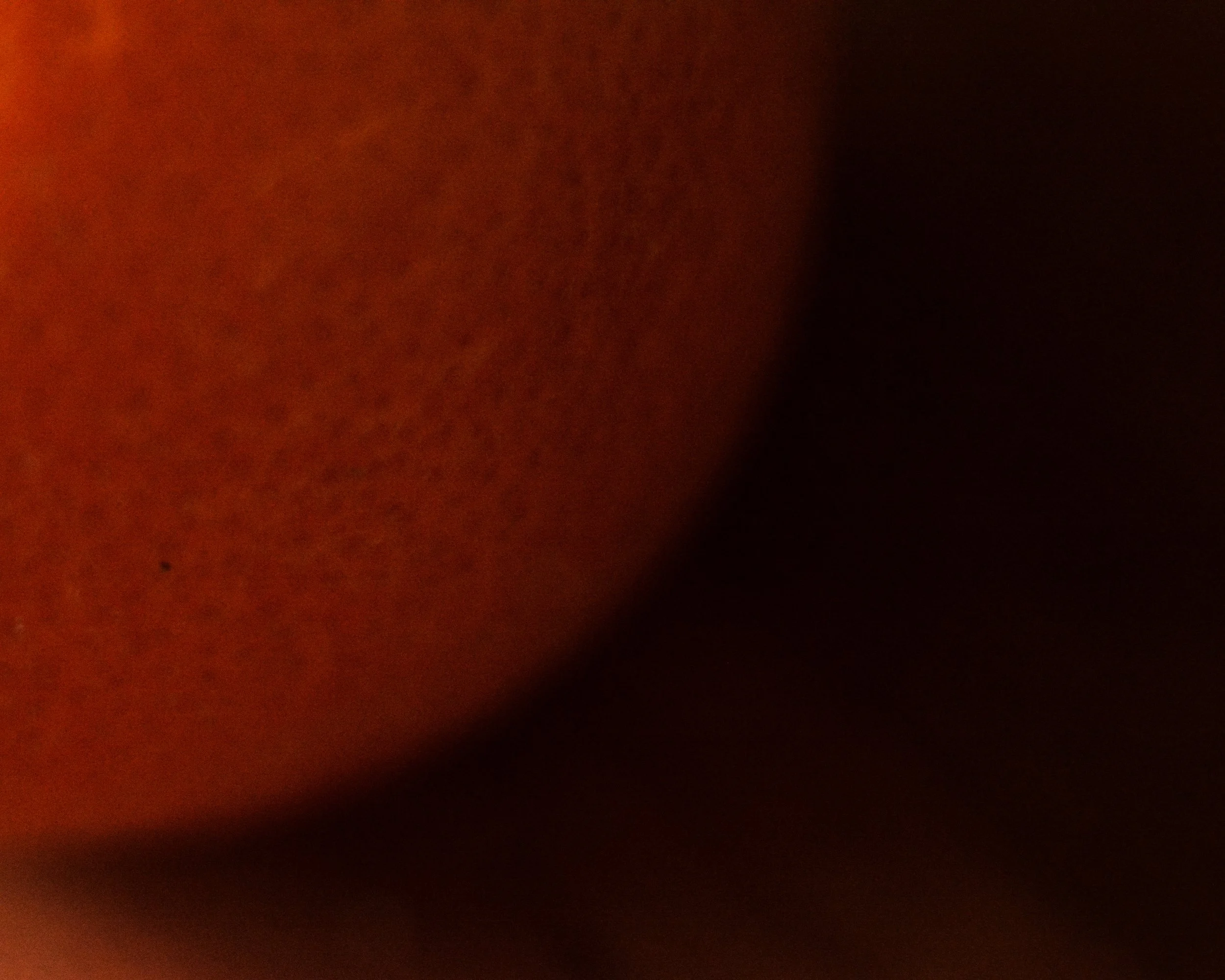 DSC_0201.jpg