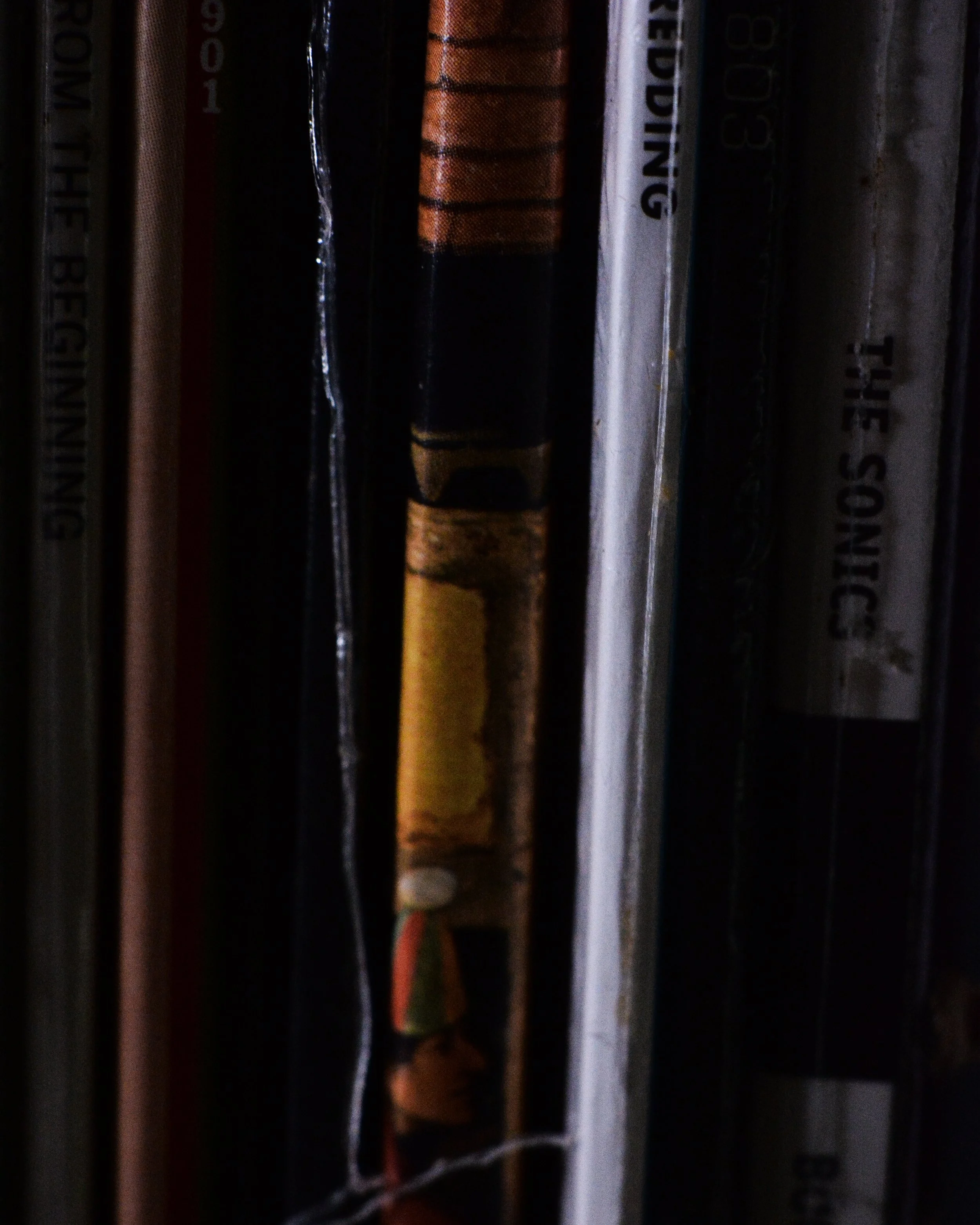 DSC_0207.jpg