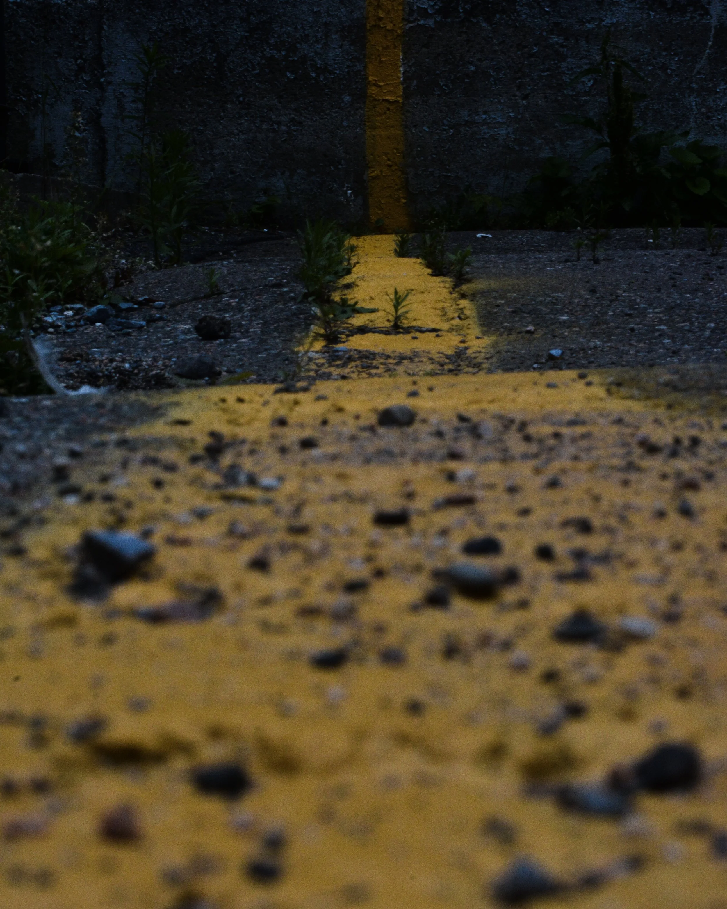 DSC_0993.jpg