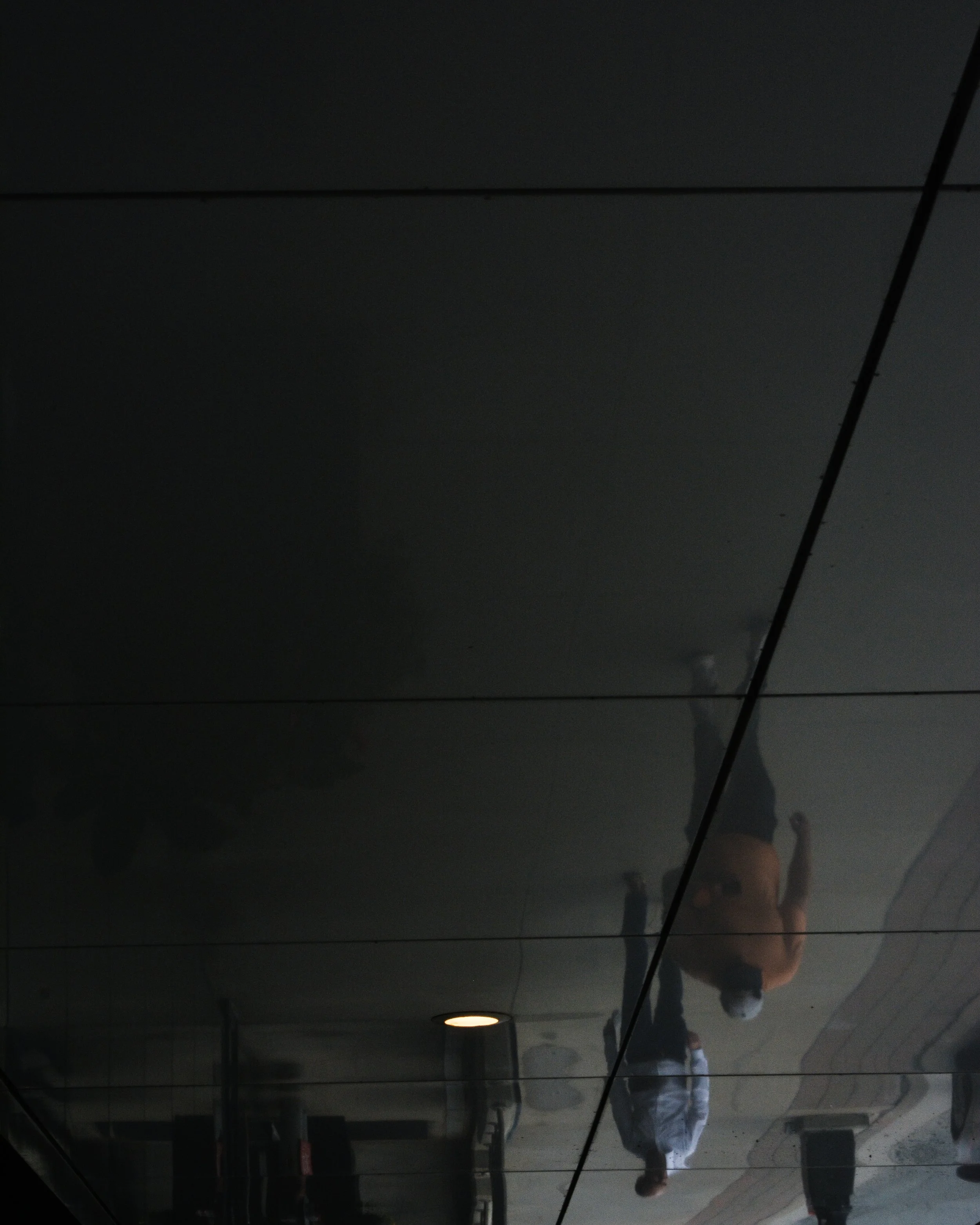 DSC_1333.jpg