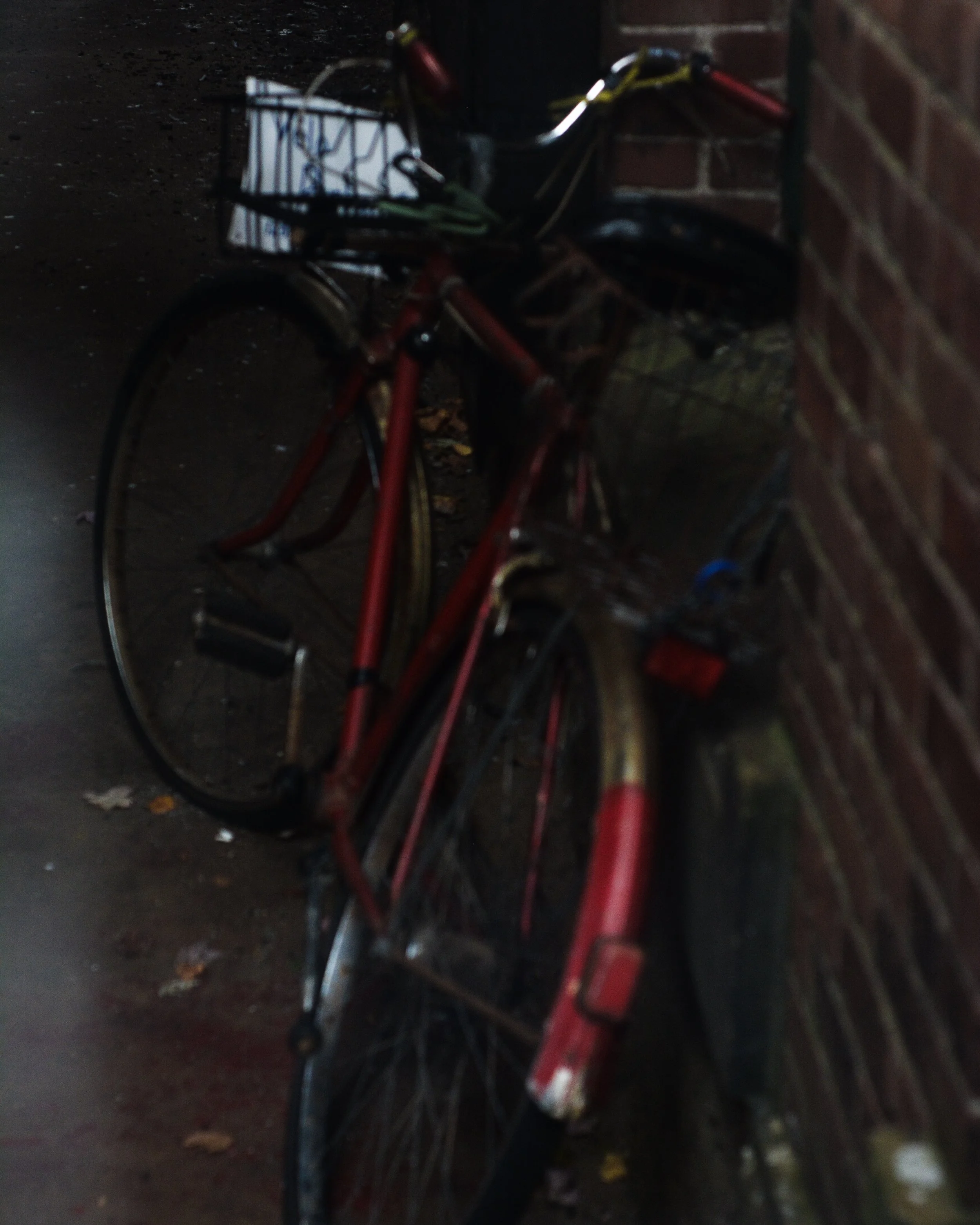 DSC_1603.jpg