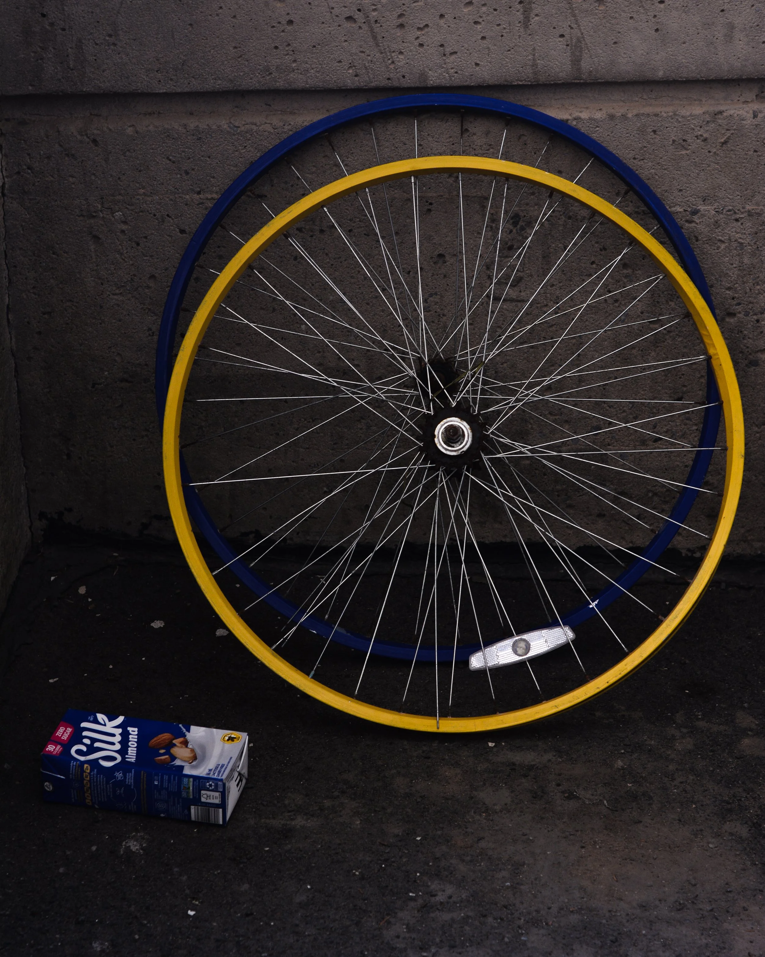 DSC_1338.jpg