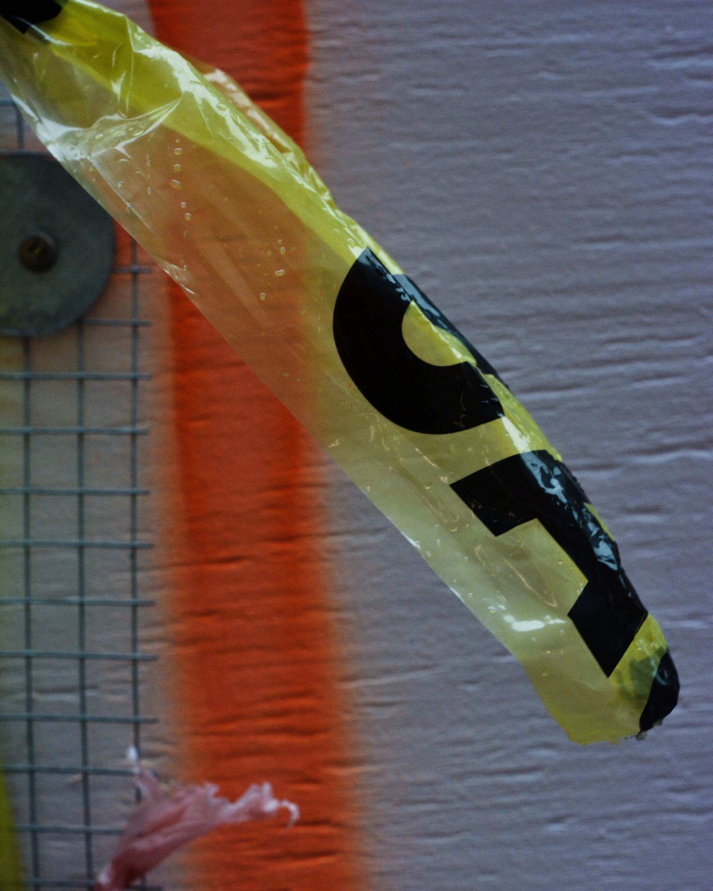 DSC_1197.jpg