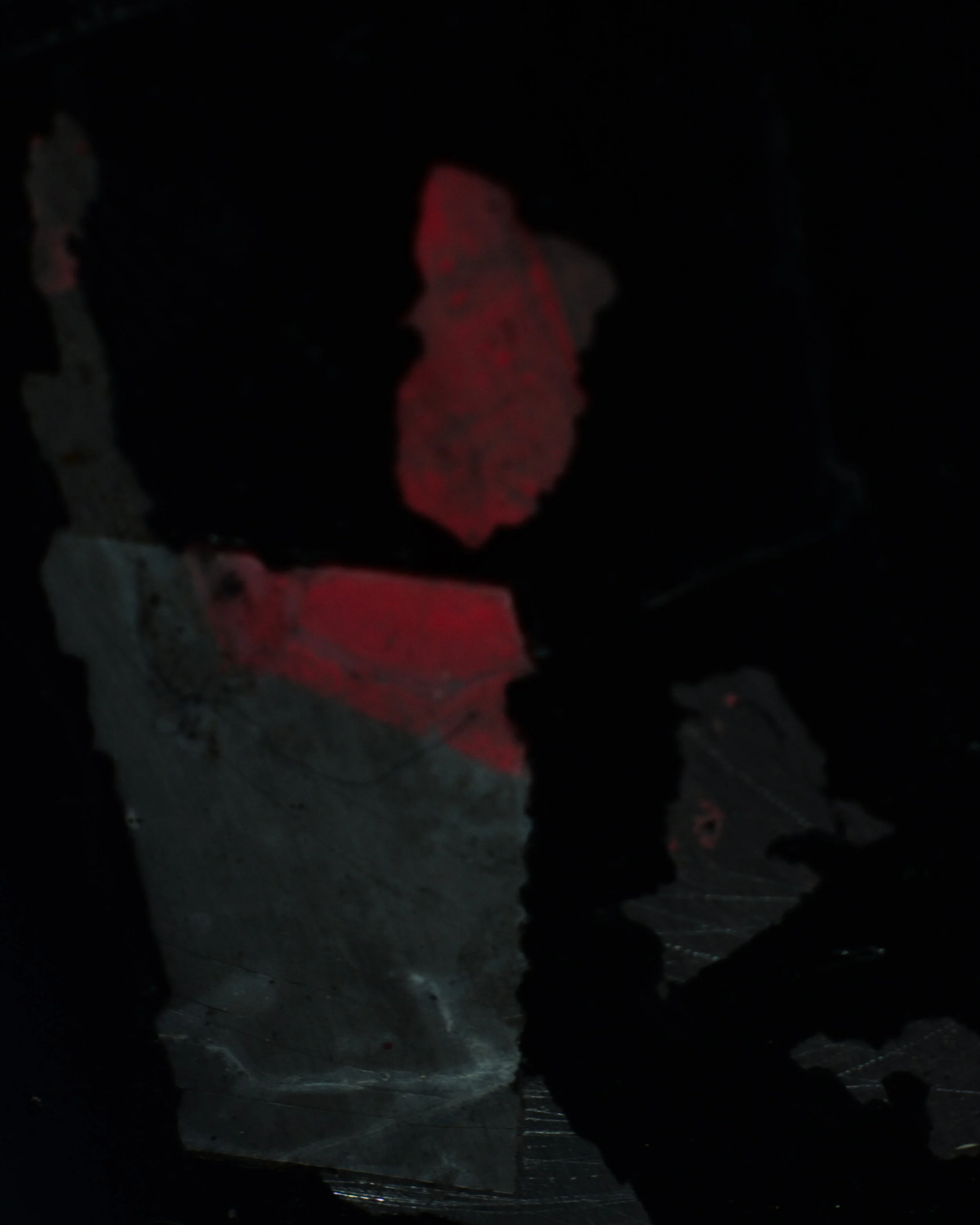 DSC_1227.jpg