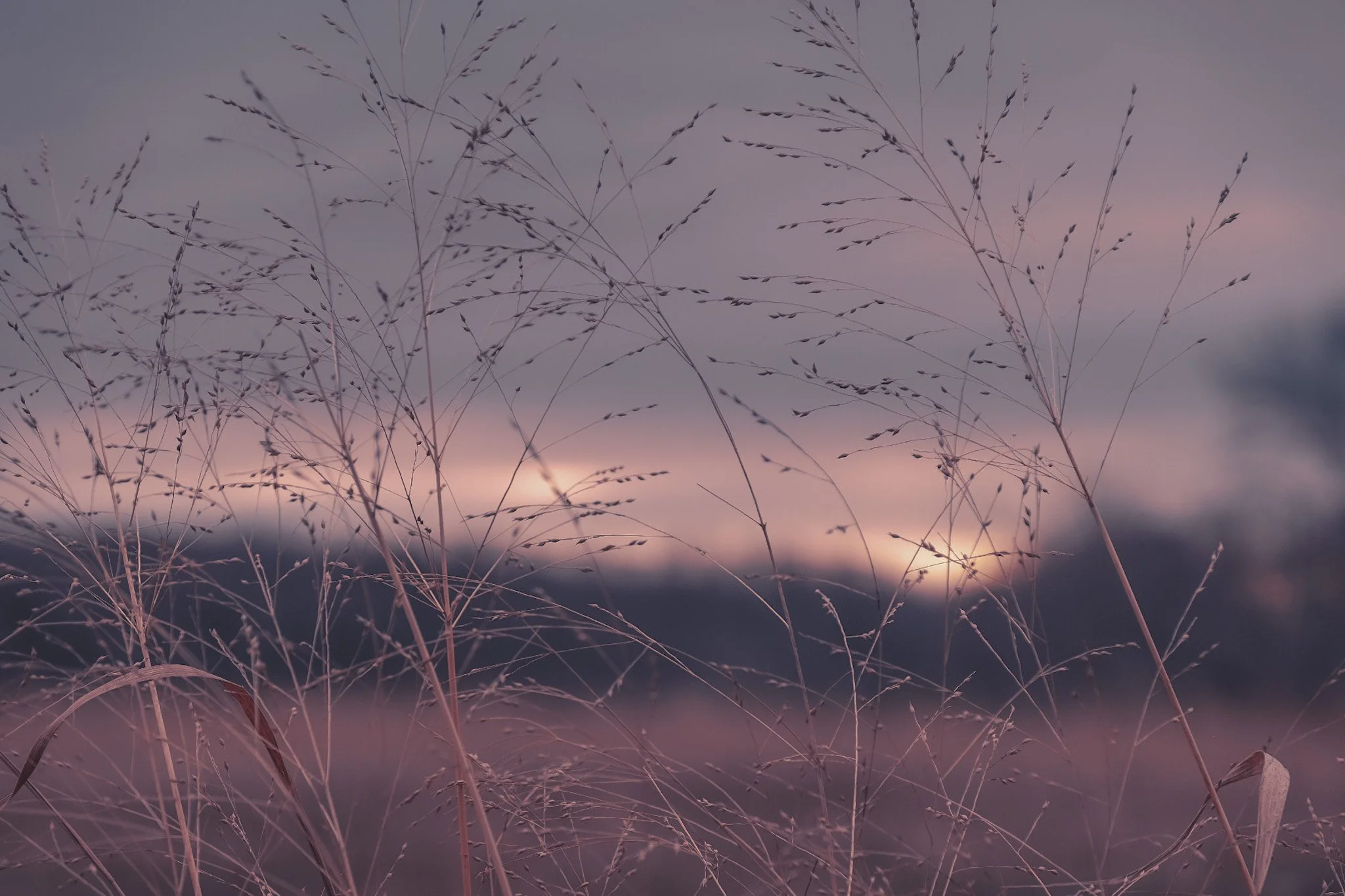 B6C137F6-0214-40C1-B91D-3B69A397616B-6137-0000100D48A4E2F2 2.JPG