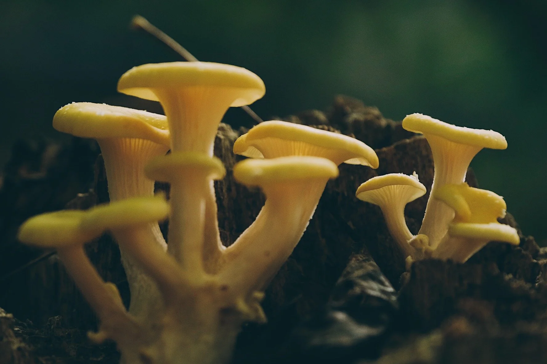 001D10F3-8A68-44B5-8B30-B2A24A7820F2-16030-00000DE9C8BDE1EB.jpg
