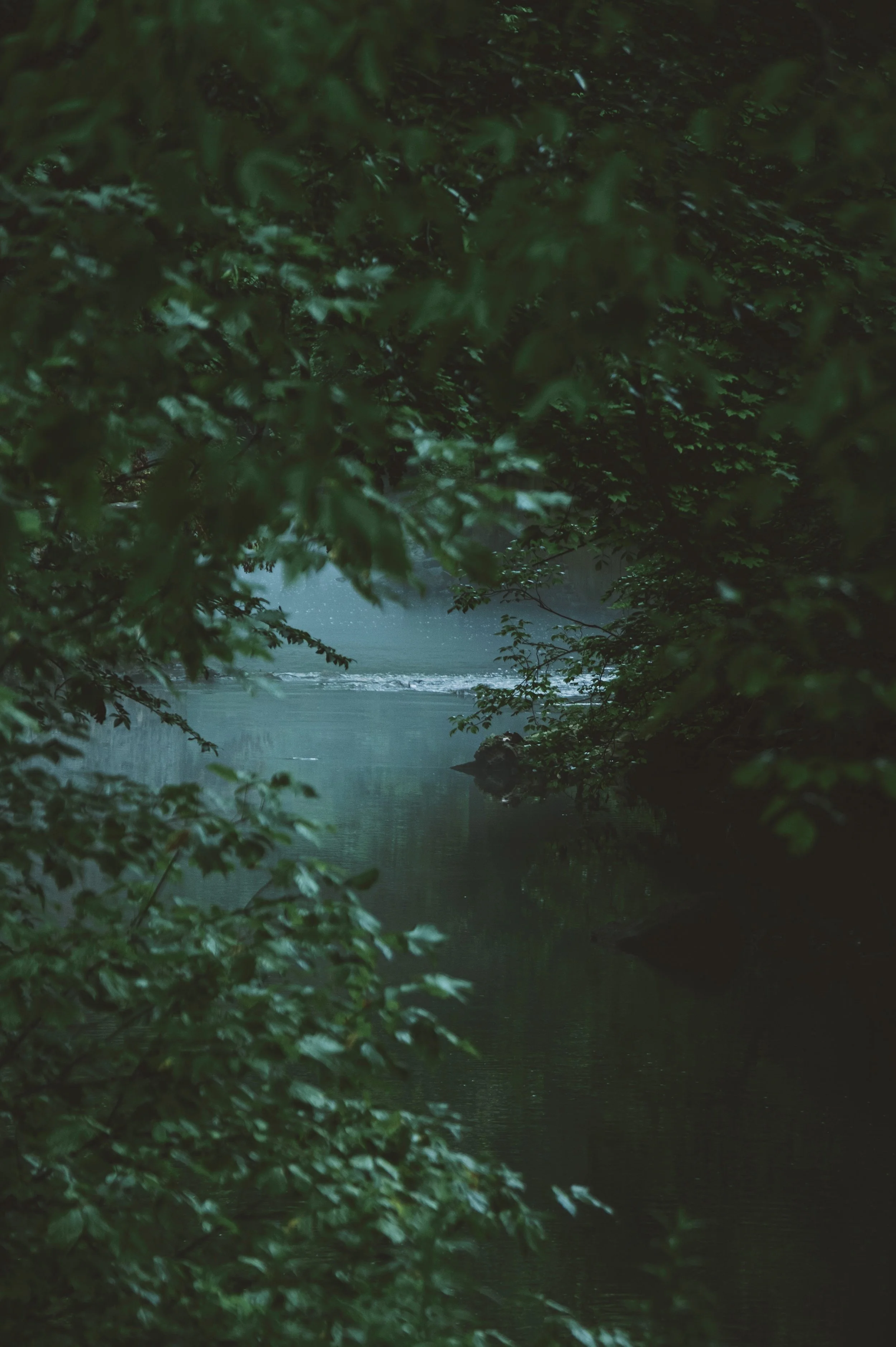F91E1D11-E3BE-48F3-A24E-E4C4F334624E.jpg
