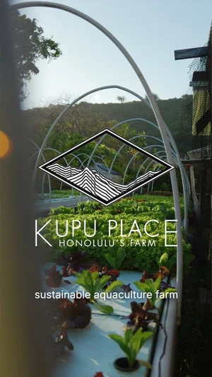 ProService Hawaii
