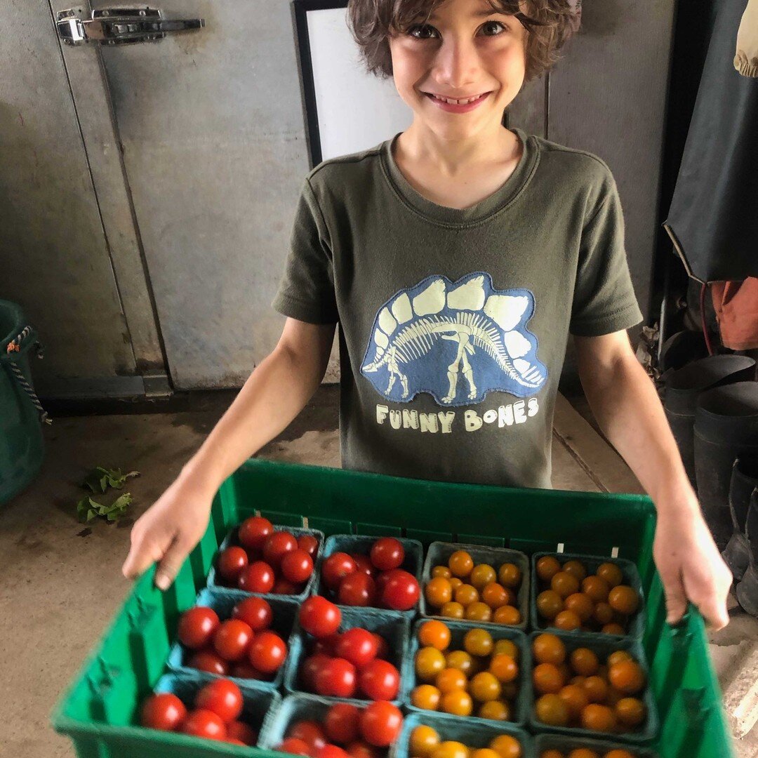 We are dodging the rain today and we have so many goodies with which to celebrate the Fourth! 

Tomatoes are in! And you'll even see the first of our rainbow carrots!

Farmstand 8 &ndash; 12:30pm
New Milford Farmers&rsquo; Market 9 &ndash; noon
Chapp