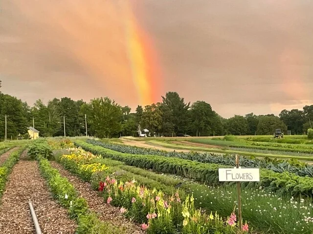 Paul captured this particularly chunky and vibrant rainbow the other evening.