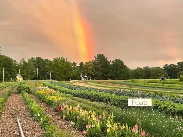 Farmstand Today! 2 &ndash; 6:30pm  PYO Hours: 1:30 &ndash; 7pm

This Week&rsquo;s Farm News July 6, 2021

After the gray and rainy weekend, it&rsquo;s getting a bit harder to remember the heat wave that dominated the weather in the early part of last