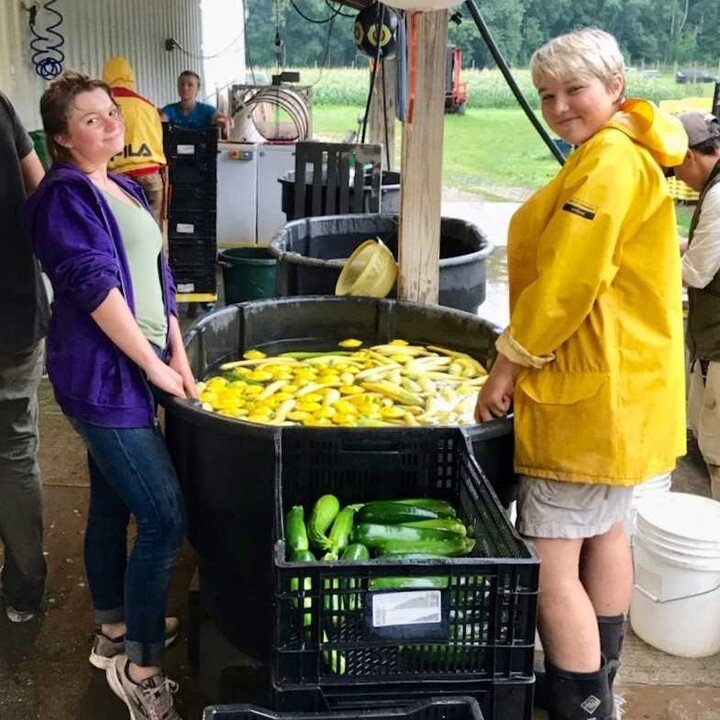 Happy Saturday! Tomorrow brings us and our delicious summer fare to 2 Farmers' Markets and our Farmstand. Come on out!(

Farmstand: 8 - 12:30pm
(PYO: 7:30 - 1pm)
Chappaqua Farmers' Market 8:30- 1pm
New Milford Farmets' Market 9 - noon

#forthillorgan