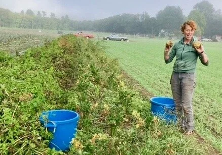 Lauren is perhaps the most excited person to have ever met a celeriac bulb.