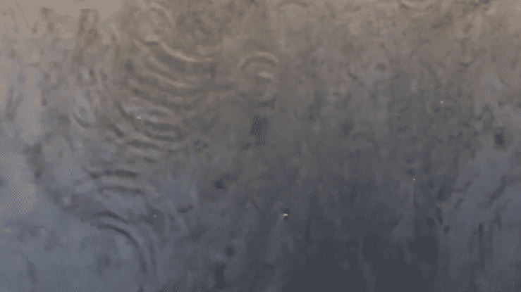 One Drop Rule-high (1).gif