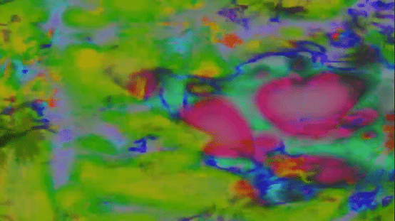 Lullaby, 2024-high.gif