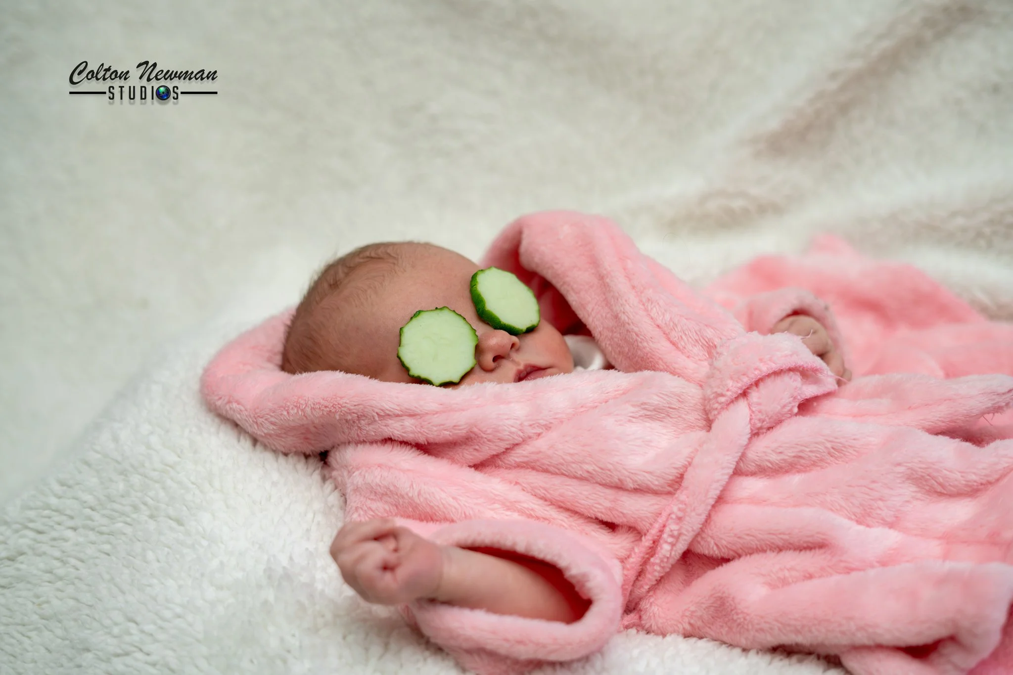 Baby Raccoon-04.jpg