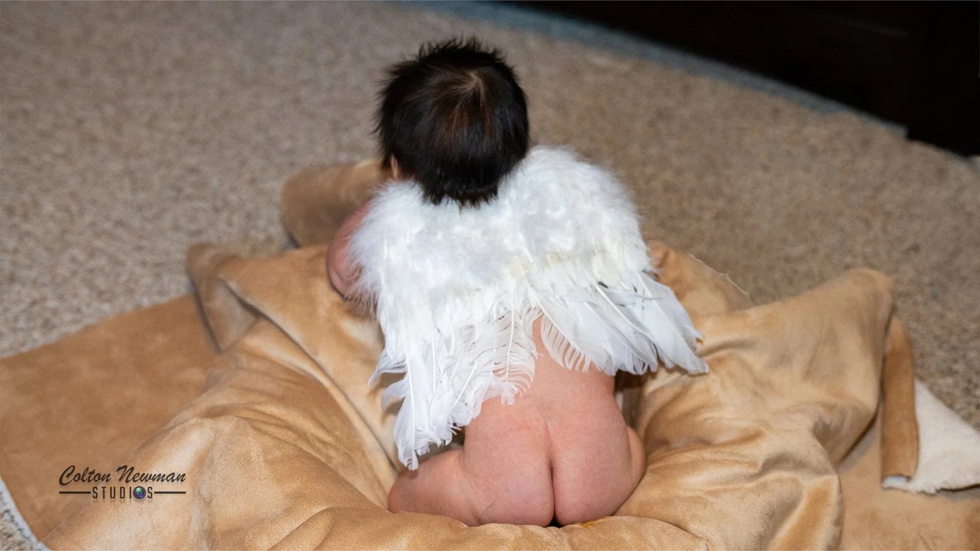 Wishart_0015_Ember-Angel-Wings.jpg