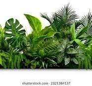 Green Thumb Festival 