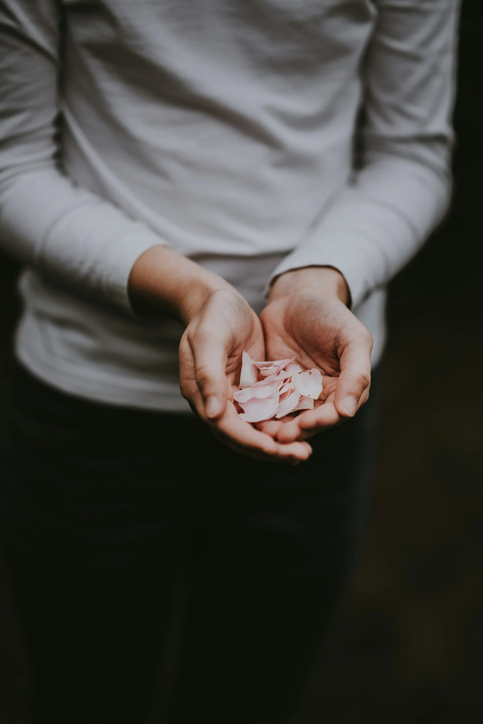 Person holding delicate flower petals in cupped hands, representing the gentle attentive approach to Brainspotting consultation with Emily Perraut Michigan USA