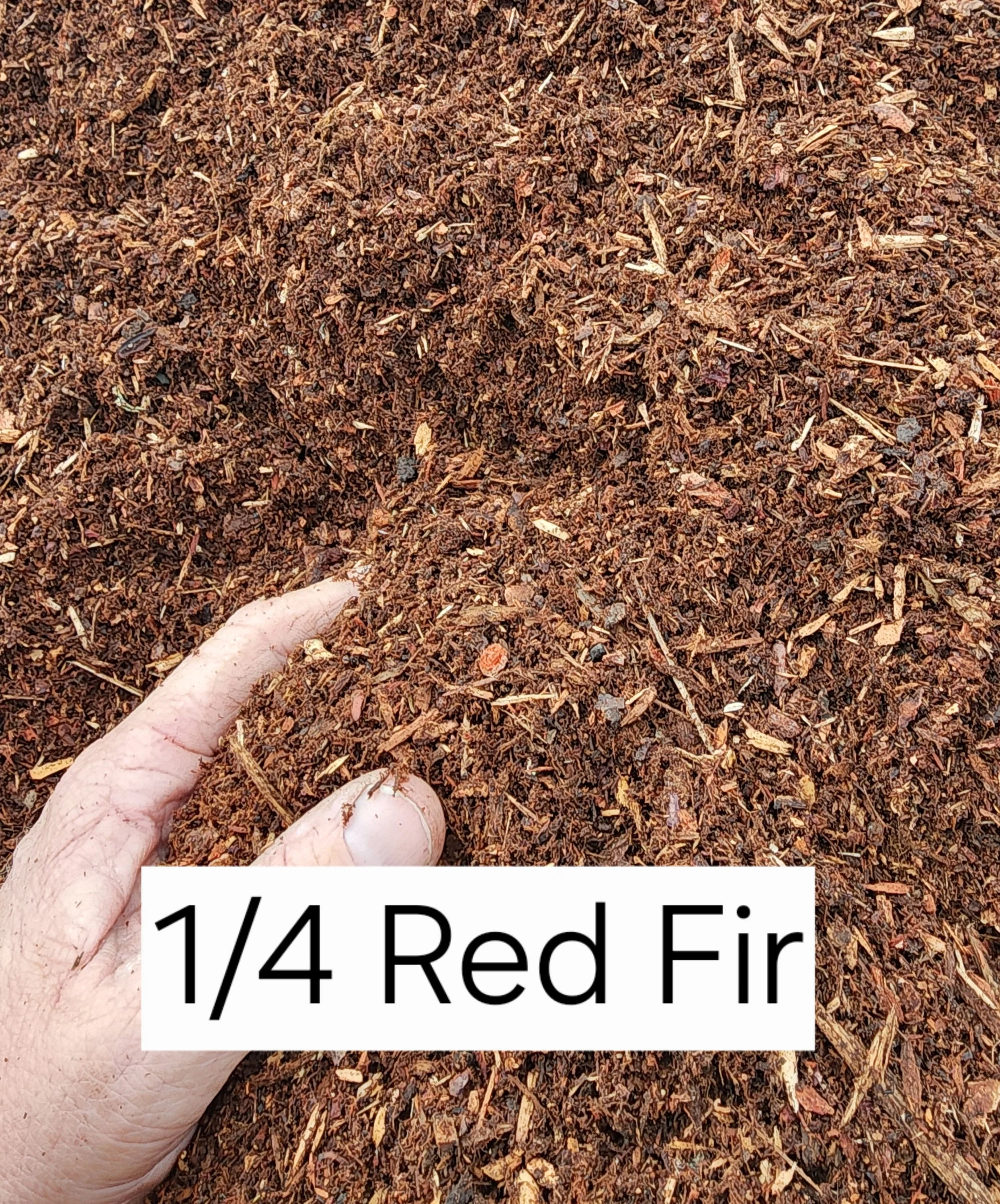 20251216_145757.jpg (Copy) (Copy) (Copy) (Copy) (Copy) (Copy) (Copy) (Copy) (Copy) (Copy)