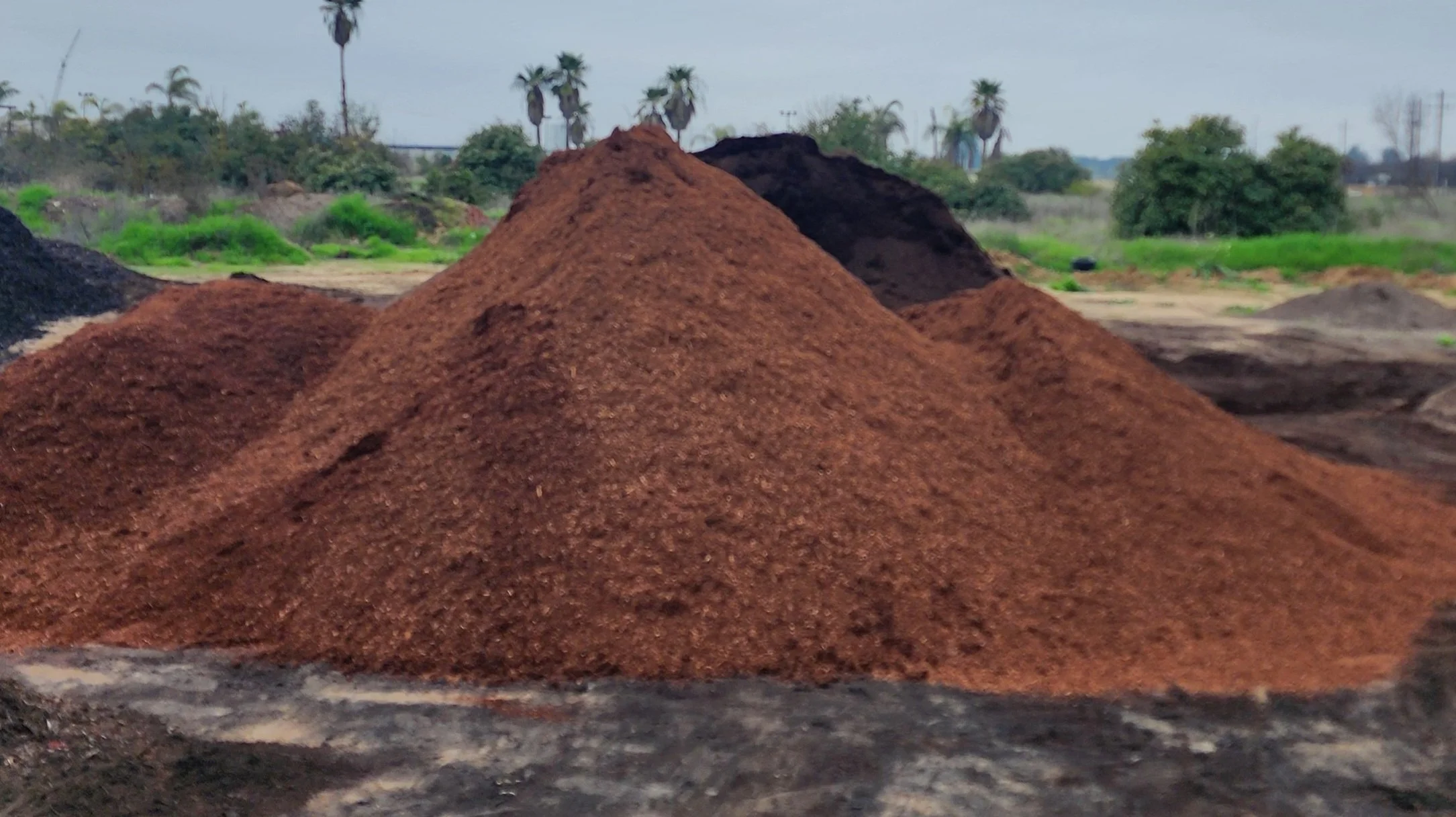 20251216_145811.jpg (Copy) (Copy) (Copy) (Copy) (Copy) (Copy) (Copy) (Copy) (Copy) (Copy)