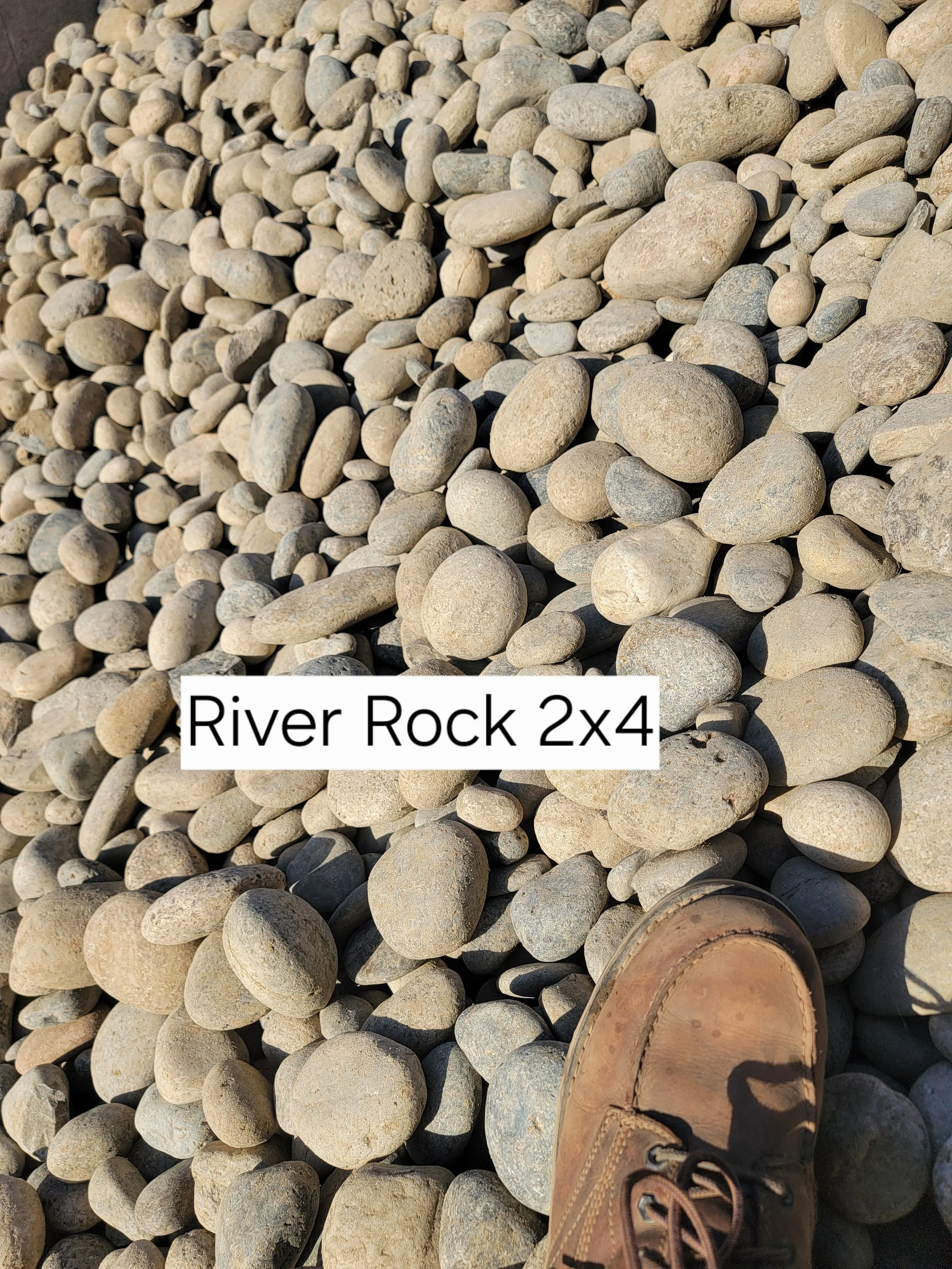 20220826_075837.jpg (Copy) (Copy) (Copy) (Copy)