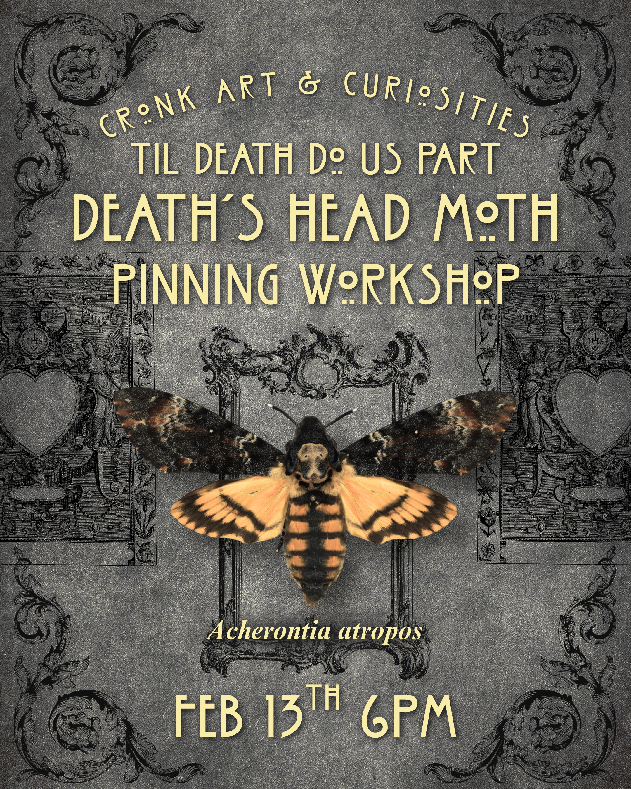 Til Death do us Part | Death's Head Moth Pinning Workshop | Feb 13th 6PM