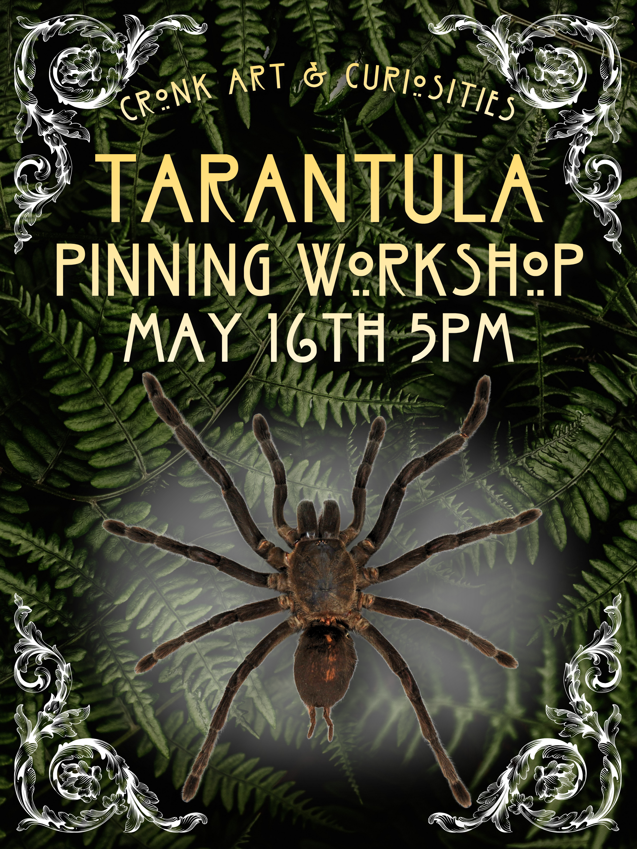 Tarantula Pinning Workshop | May 16th 5PM