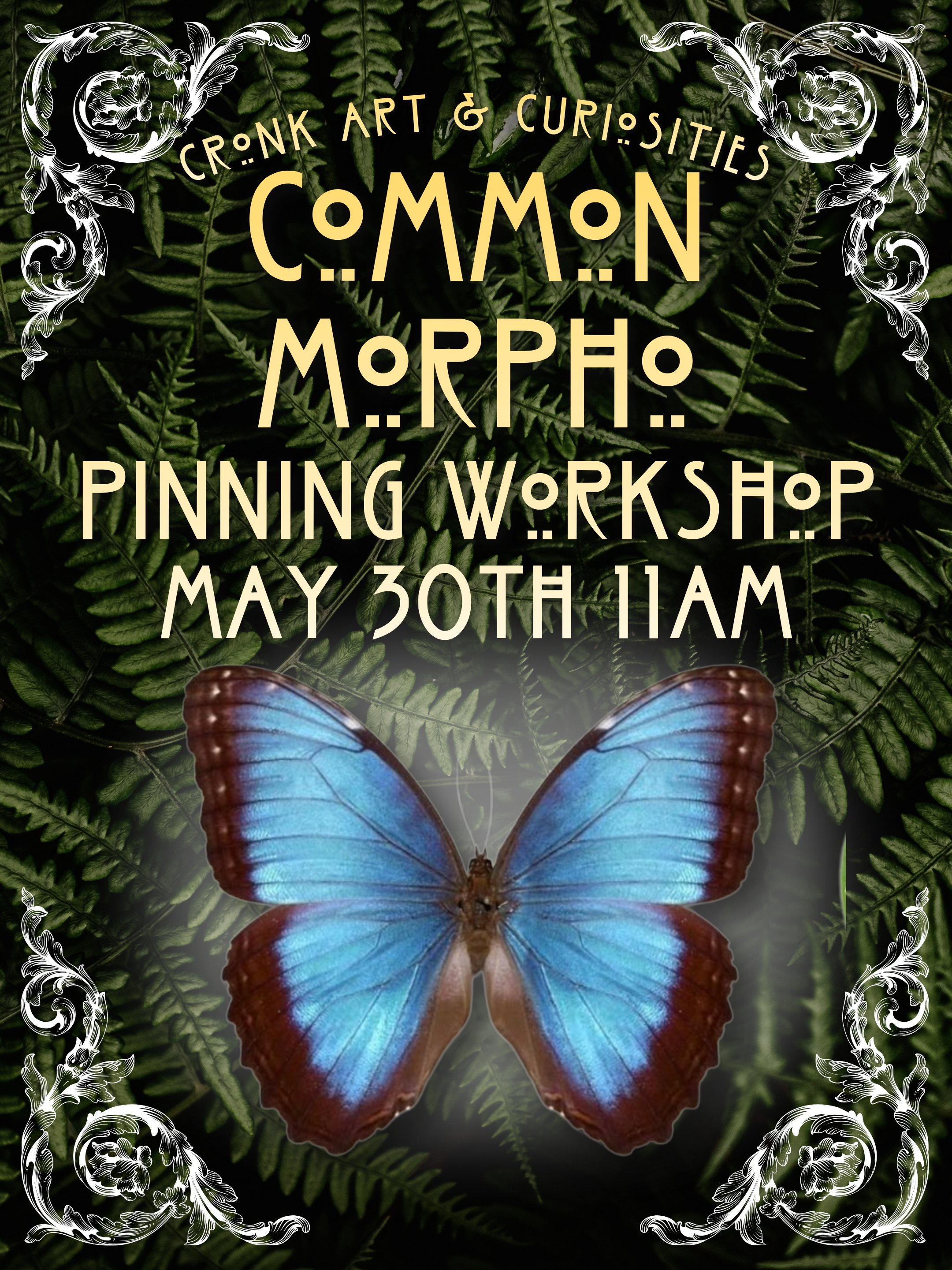 Common Morpho Pinning Workshop | May 30TH 11AM