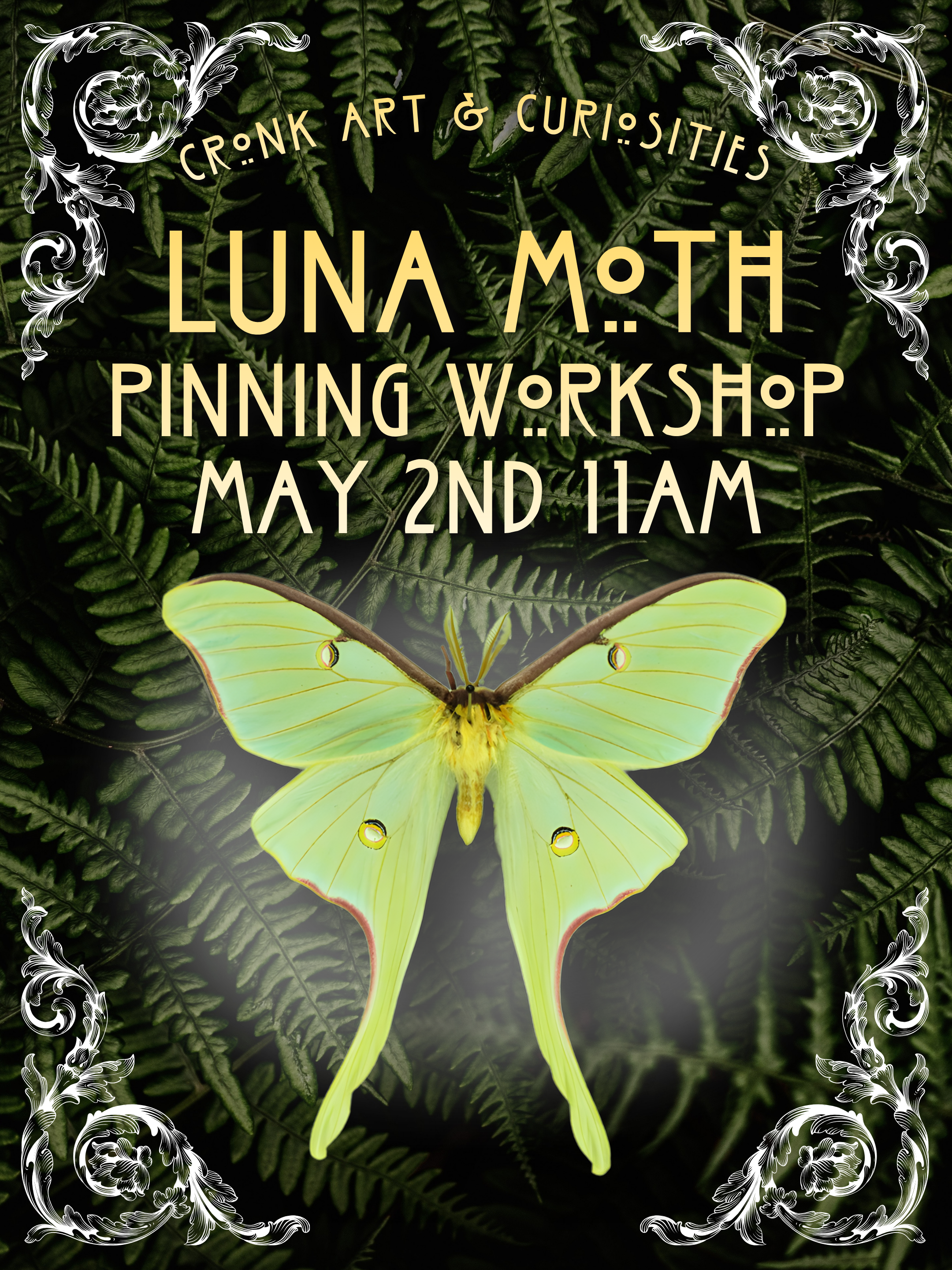 Luna Moth Pinning Workshop | May 2ND 11AM