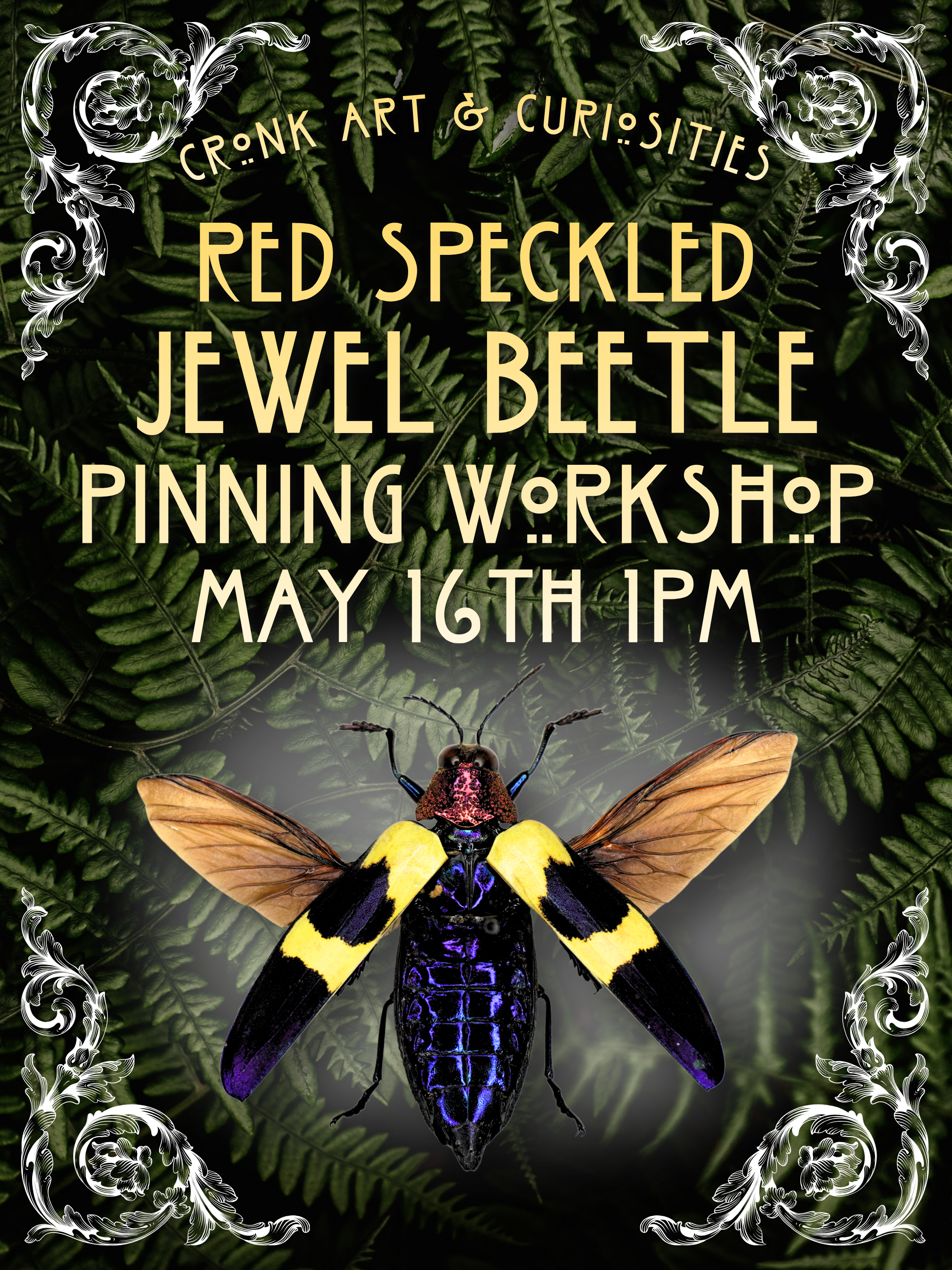 Red Speckled Jewel Beetle Pinning Workshop | May 16TH 1PM