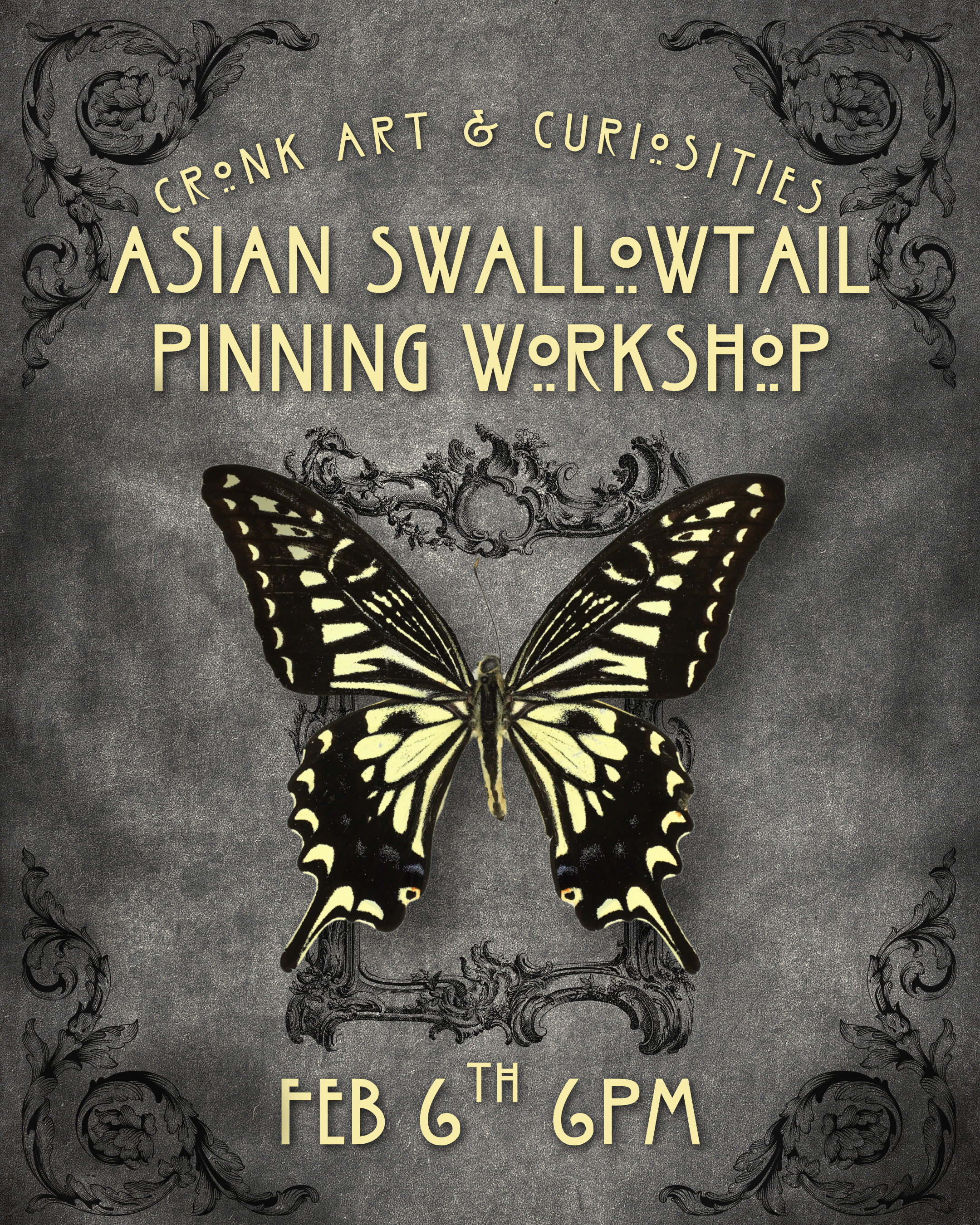 Asian Swallowtail Pinning Workshop | Feb 6th 6PM
