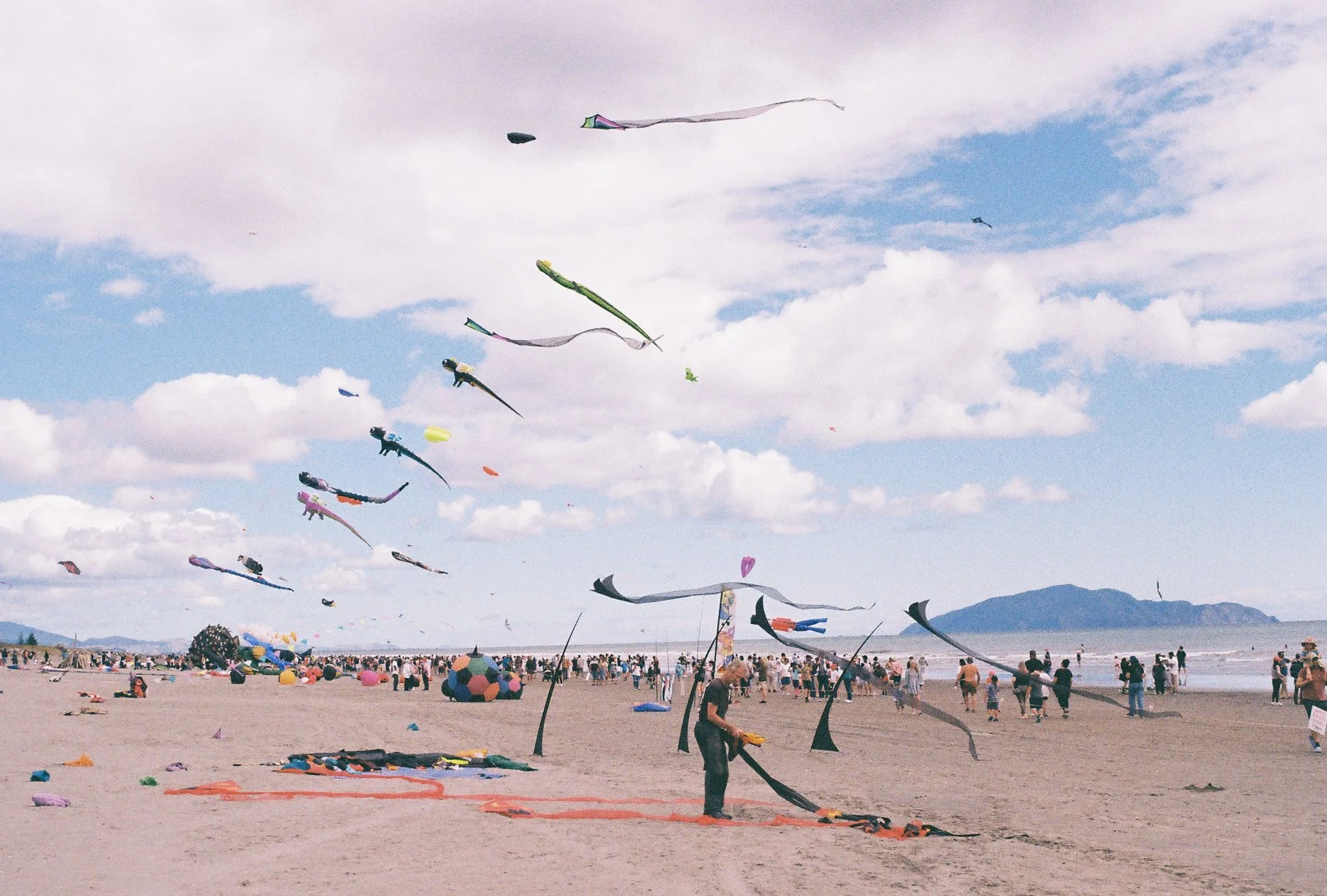 Otaki Kite Festival (New Zealand) 