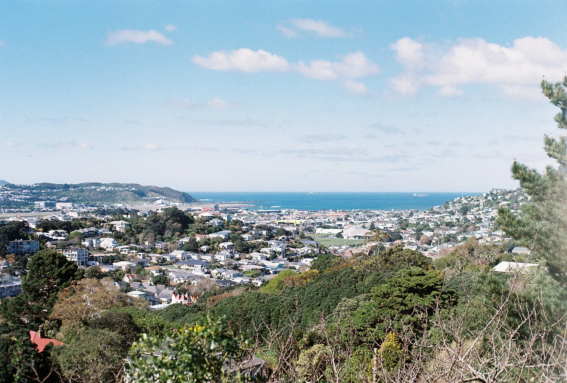 Hataitai Lookout