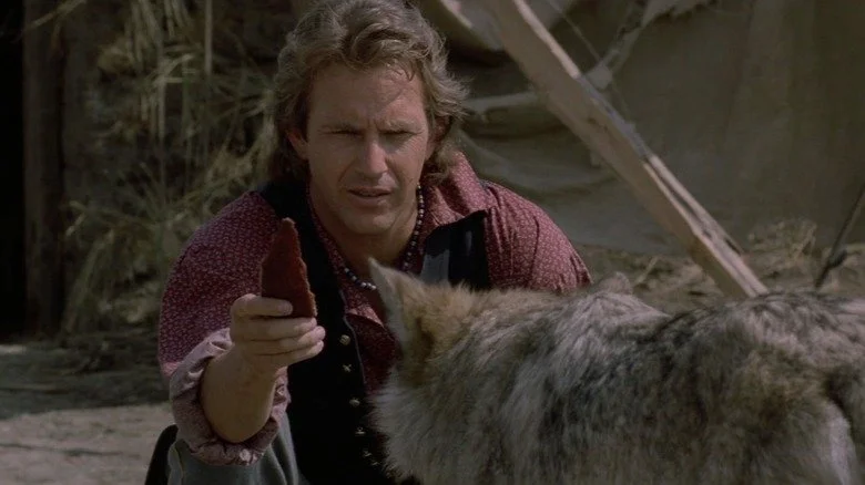Dances with Wolves.jpg