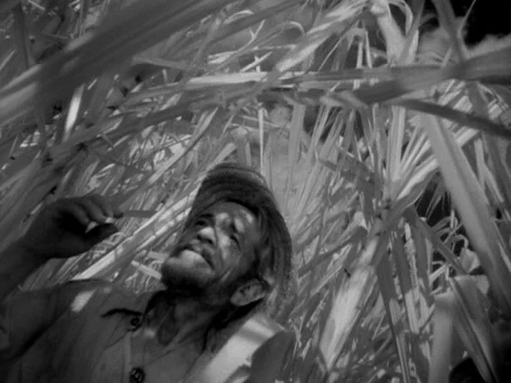 I am Cuba