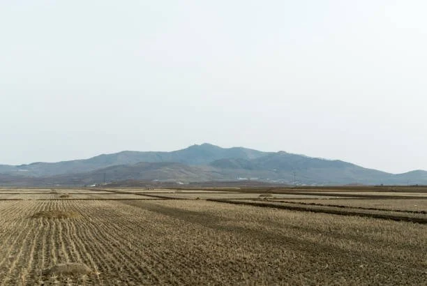Food Shortfalls in DPRK could Beget an Imminent Humanitarian Disaster