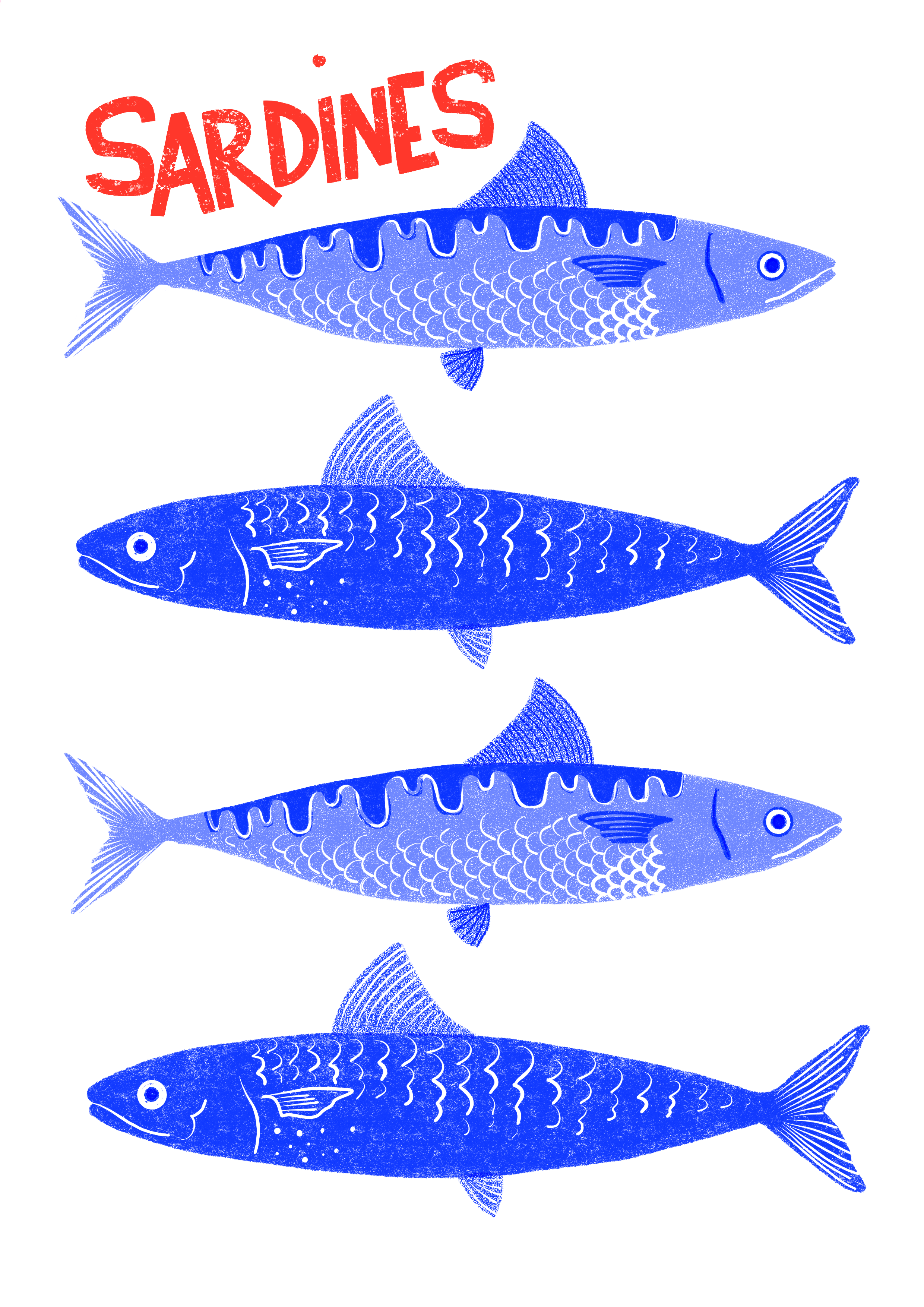 Sardine Print A4 - Unframed