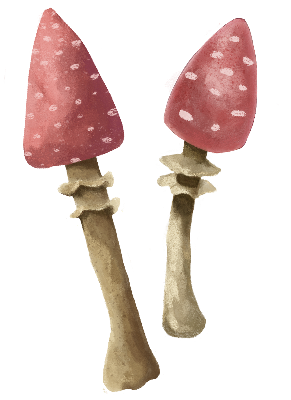 80mmx110mm-two-toadstool.png
