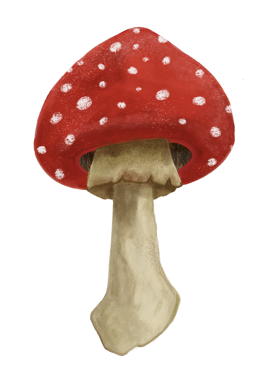 80mmx110mm-toadstool.png