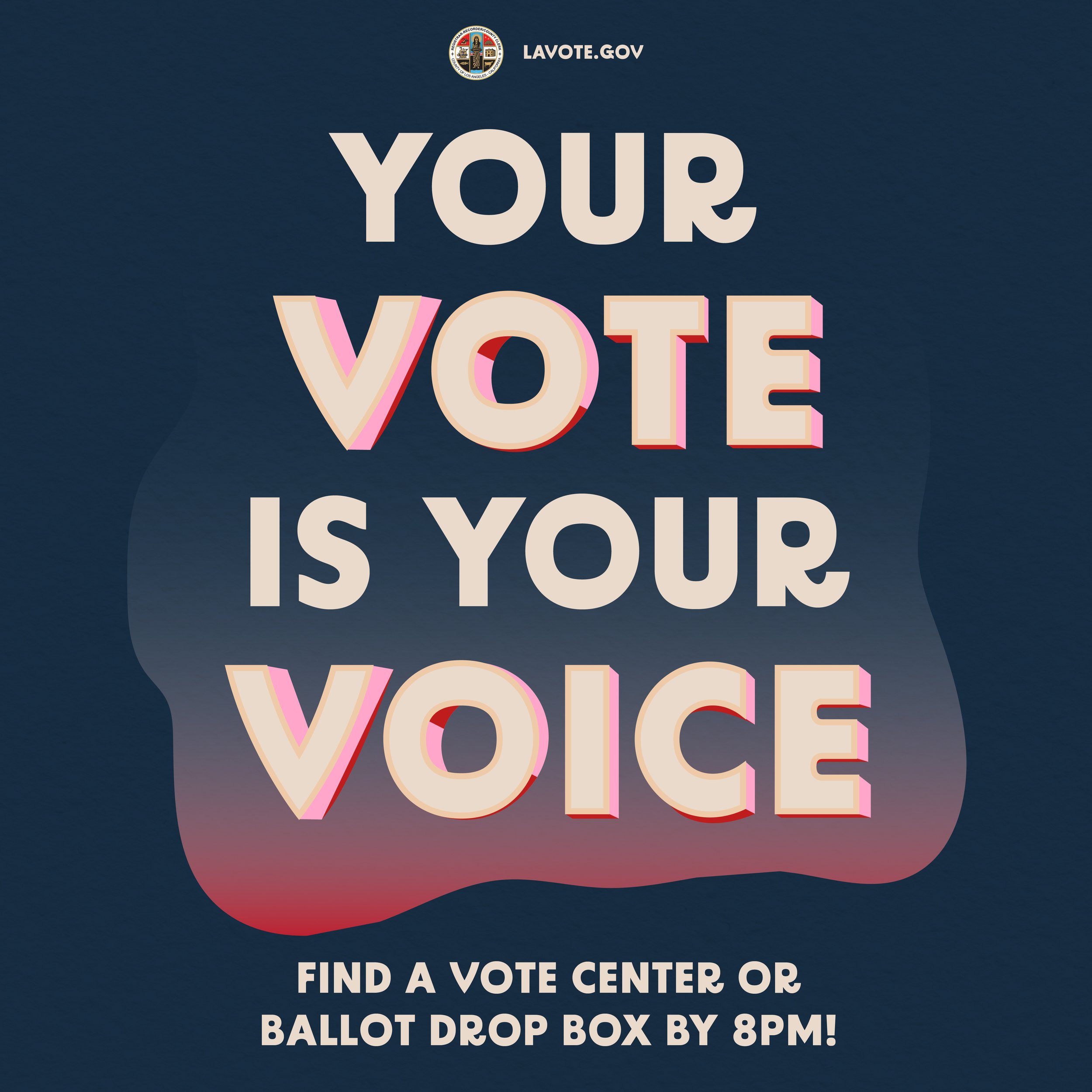 Voice your vote IG-02.jpg